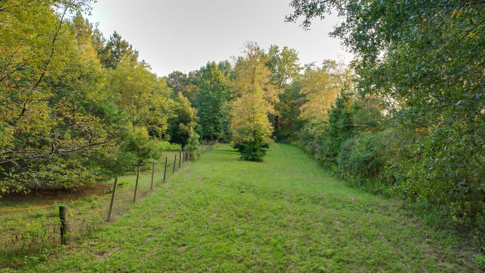 200 Lowe Lane Property Photo 45