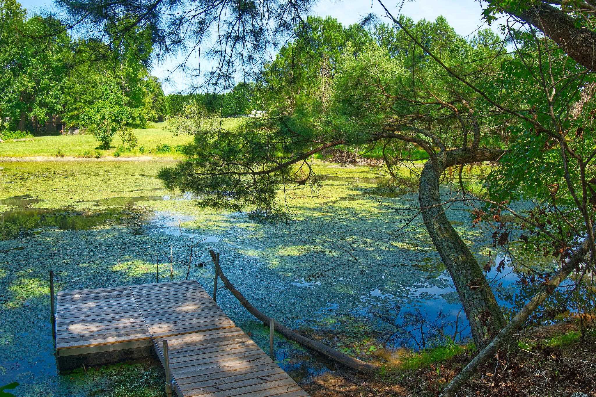 6850 Highway 9 Property Photo 6