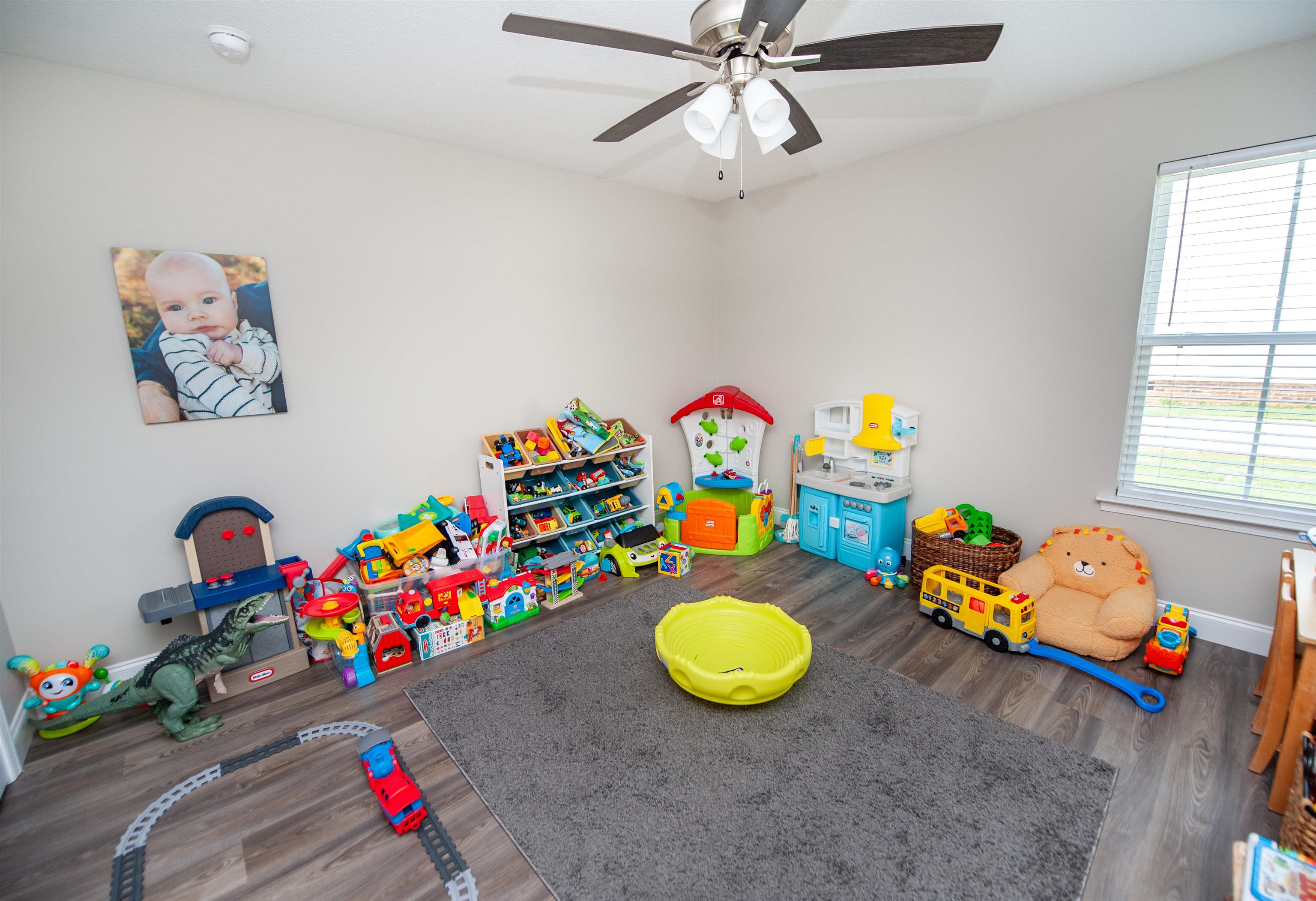 529 Life Lane Property Photo 23