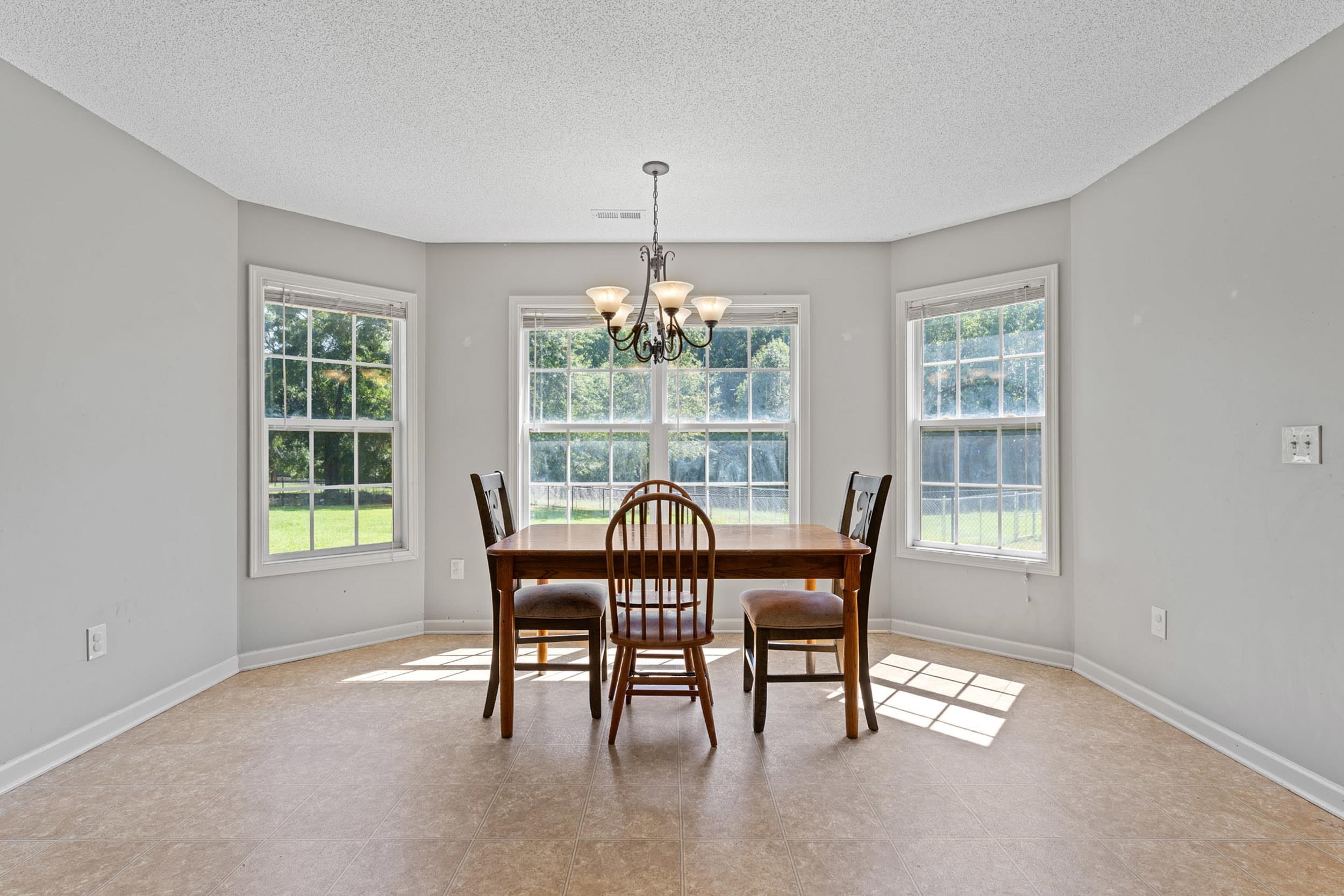 217 Shady Spring Way Property Photo 14