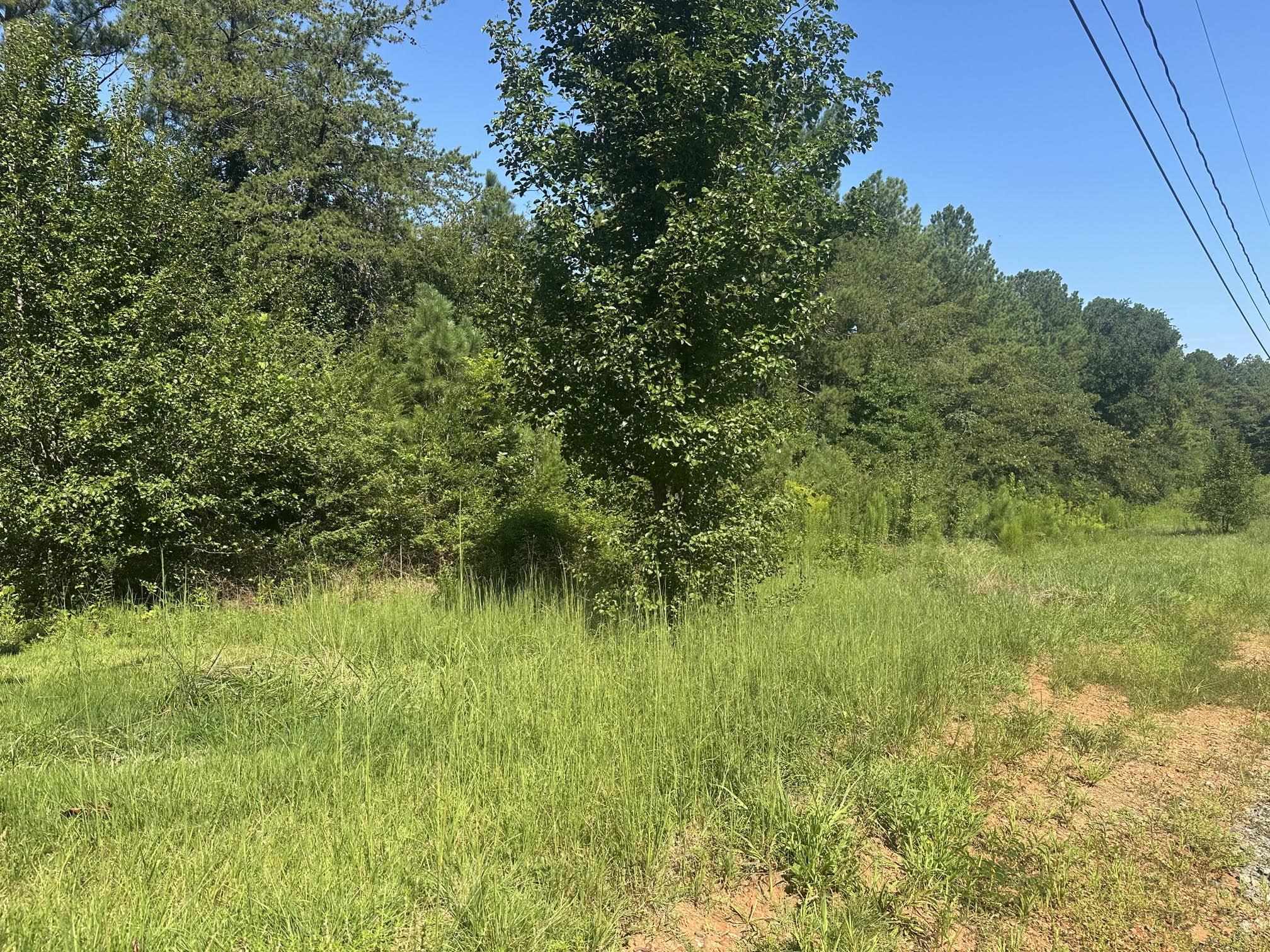 341299 Property Photo 14