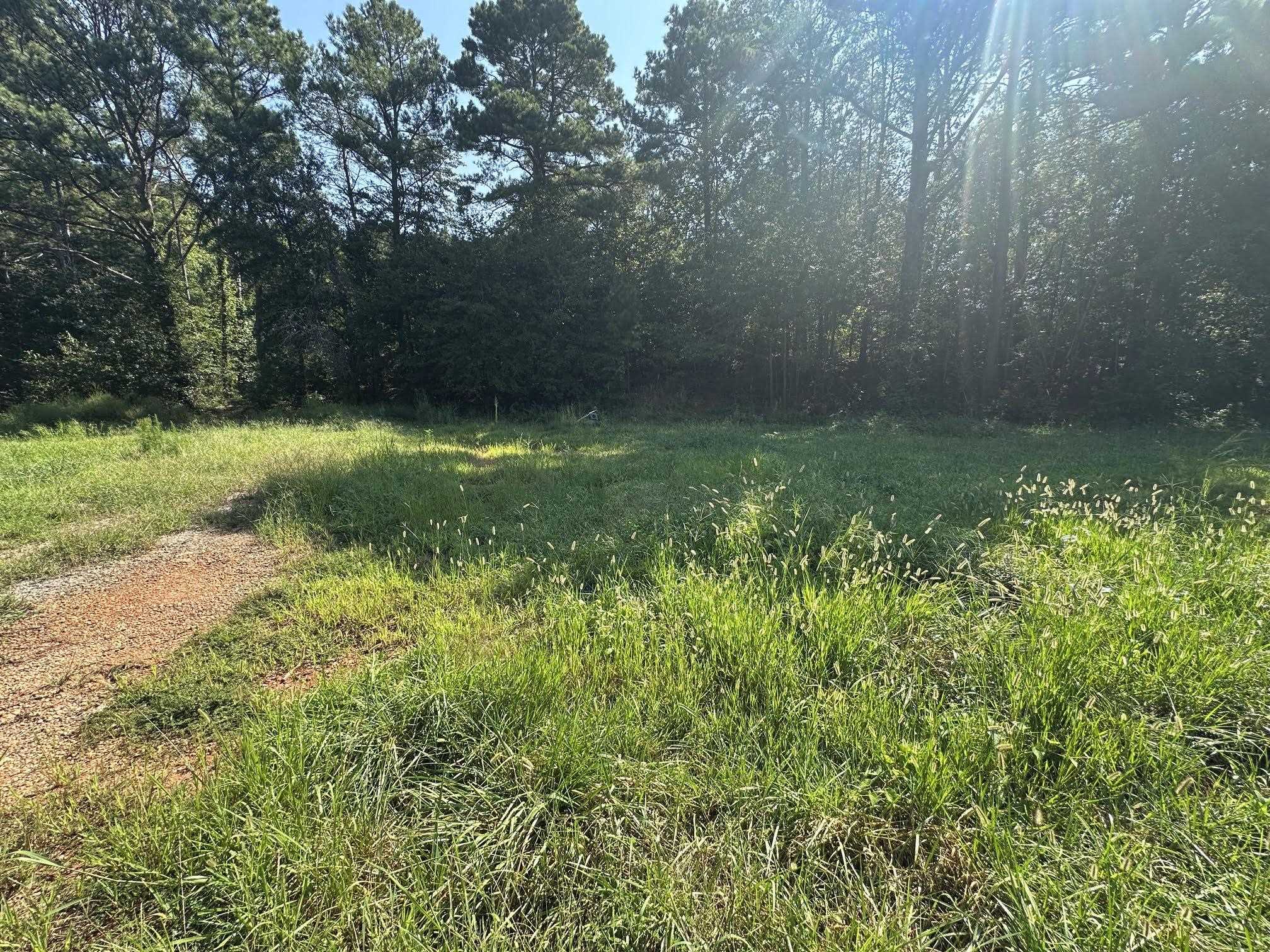 341299 Property Photo 15