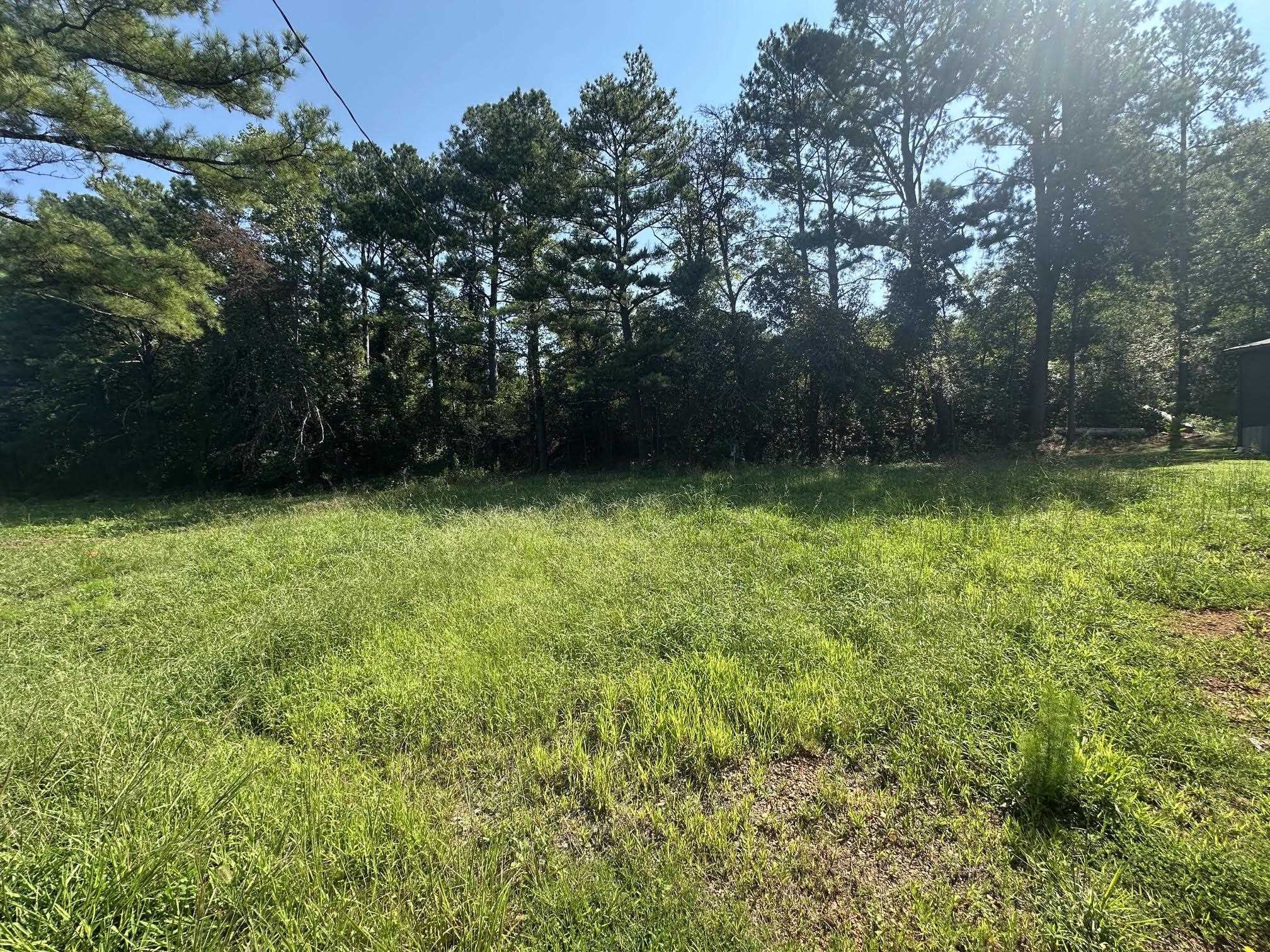341299 Property Photo 19