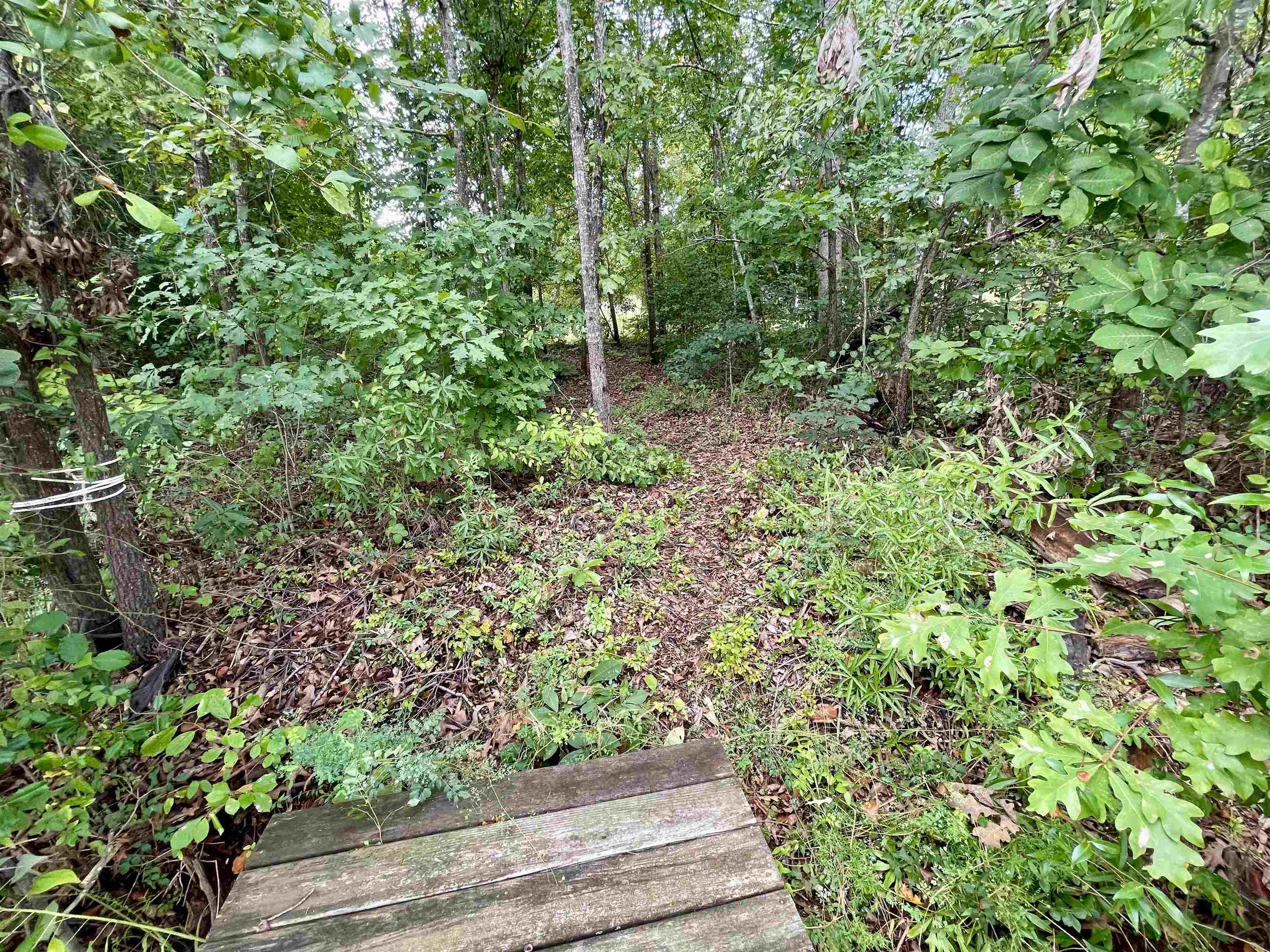 341314 Property Photo 3