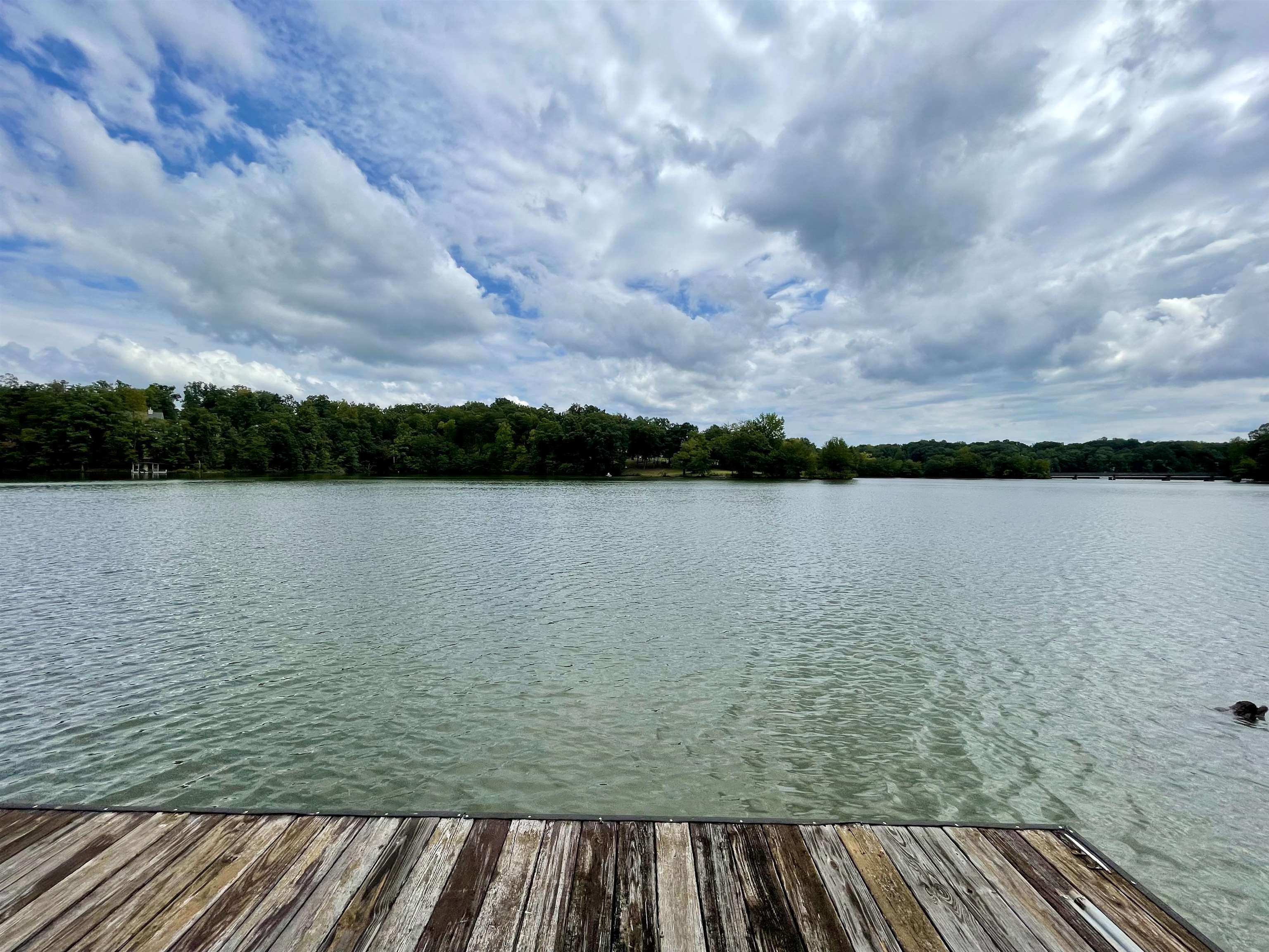 341314 Property Photo 5