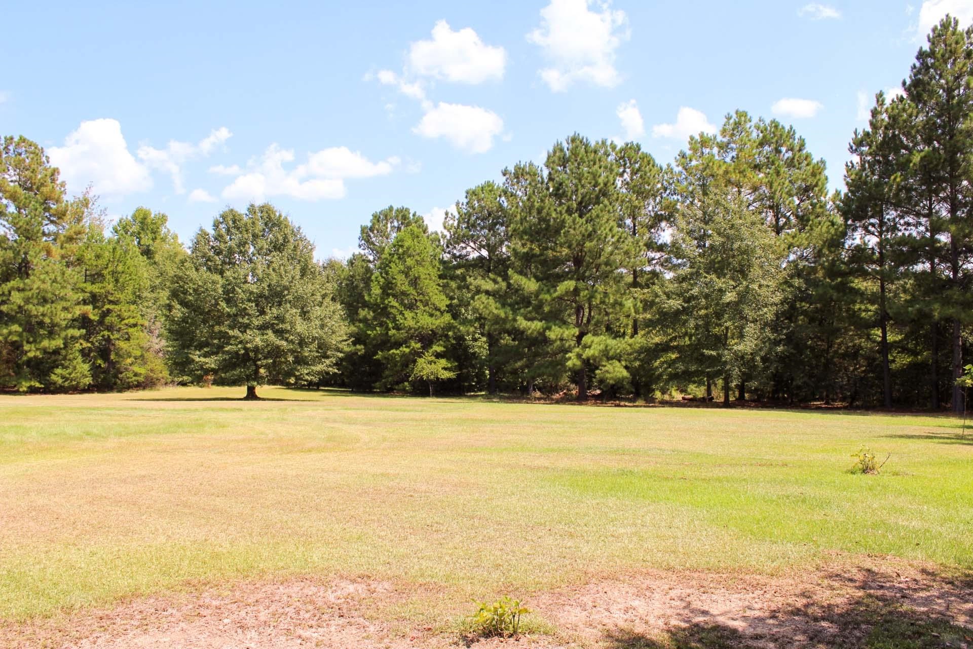 4171 Old Hills Bridge Road Property Photo 7
