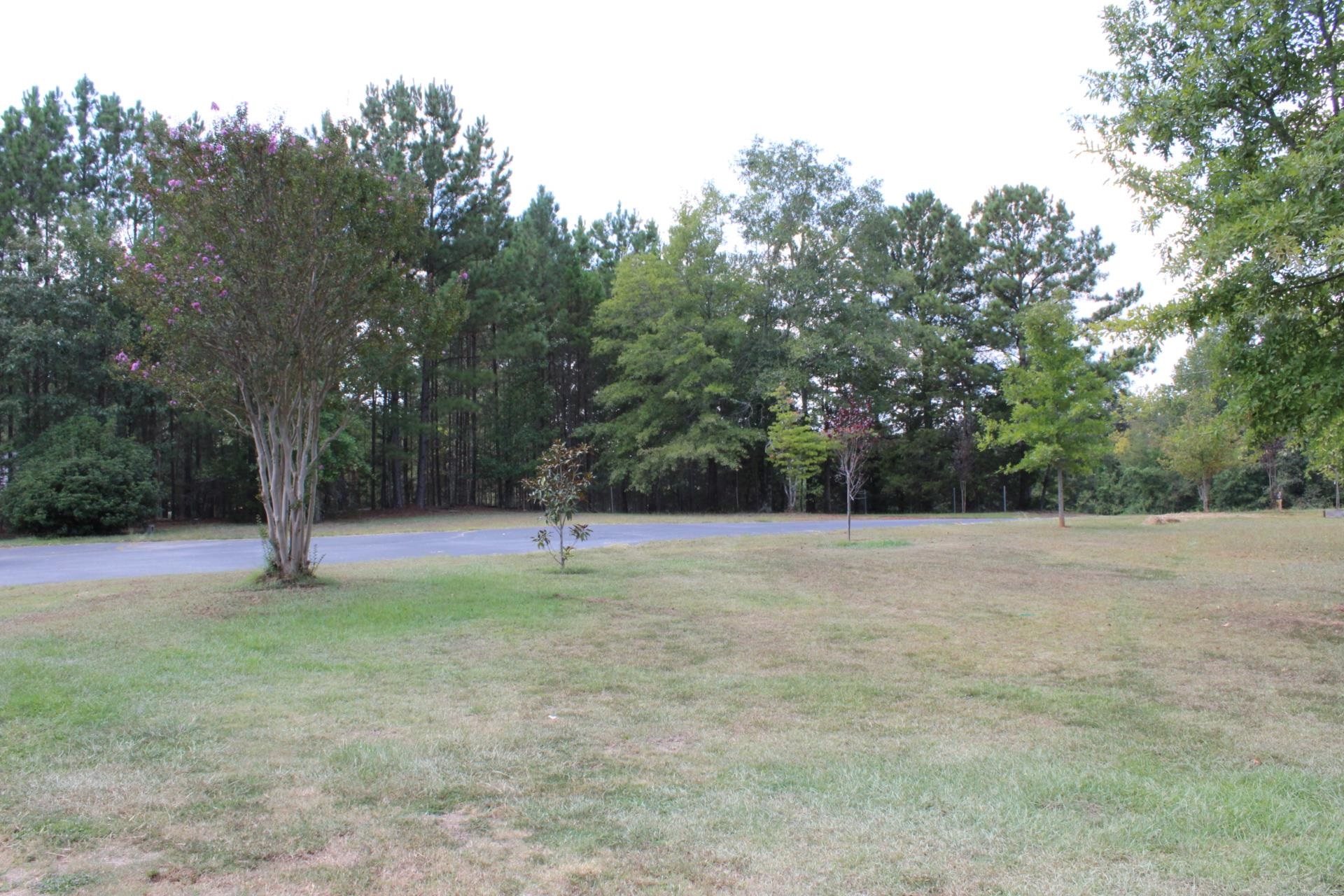 4171 Old Hills Bridge Road Property Photo 44