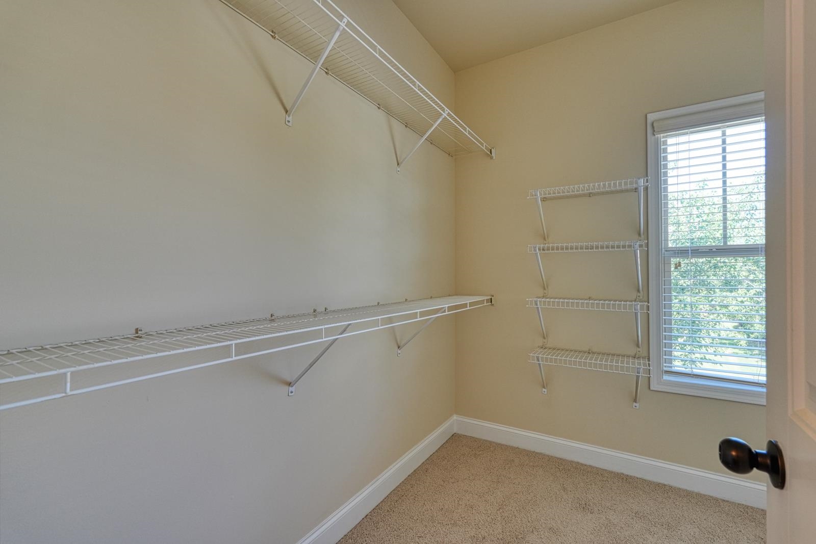 306 Strasburg Drive Property Photo 41