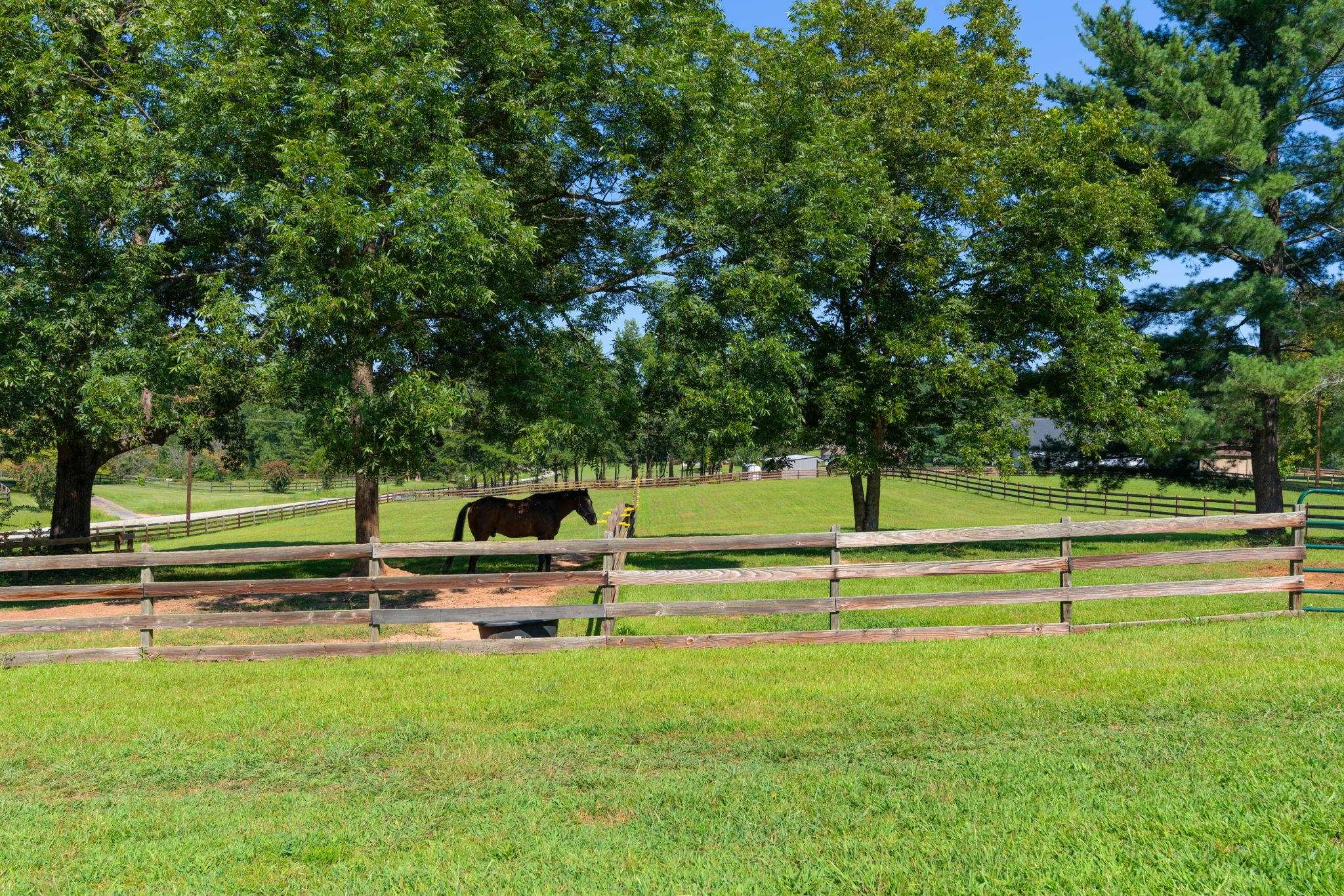 2394 Big Mulberry Trace Property Photo 48