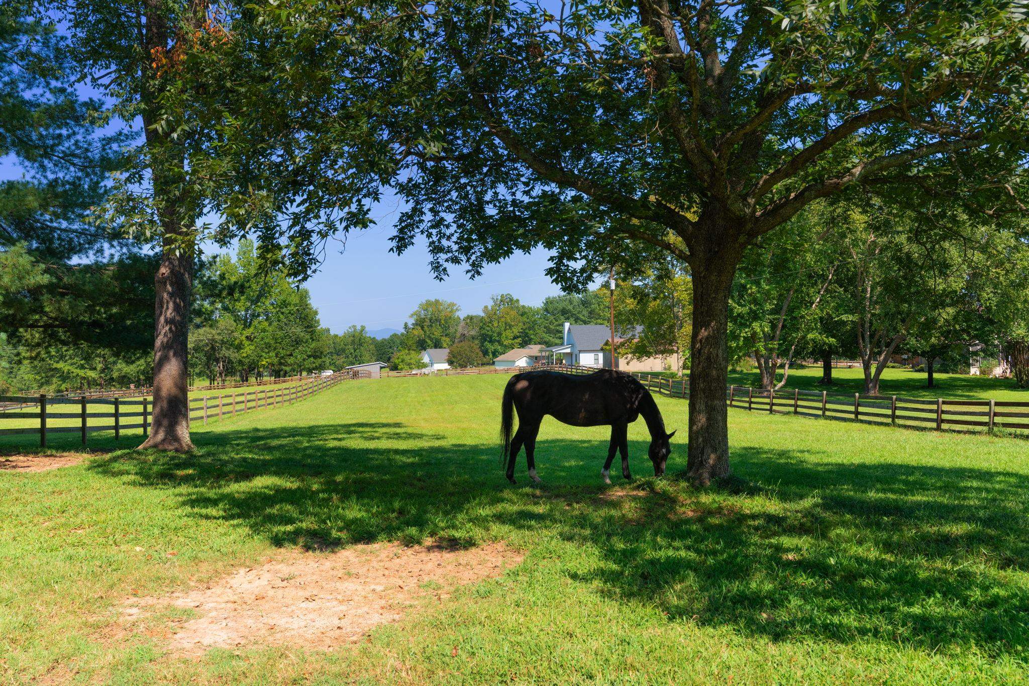 2394 Big Mulberry Trace Property Photo 49