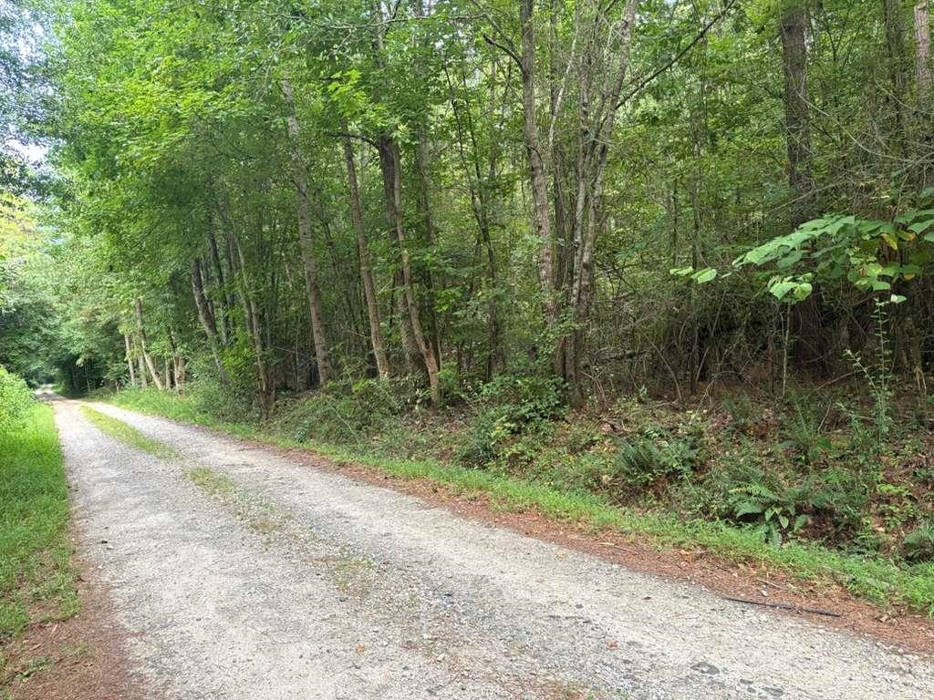 341372 Property Photo 17