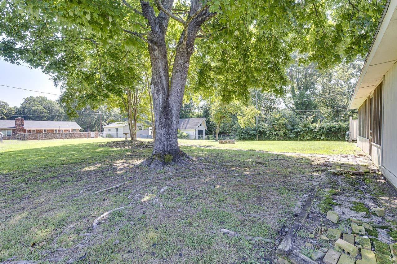 279 Brookfield Road Property Photo 40