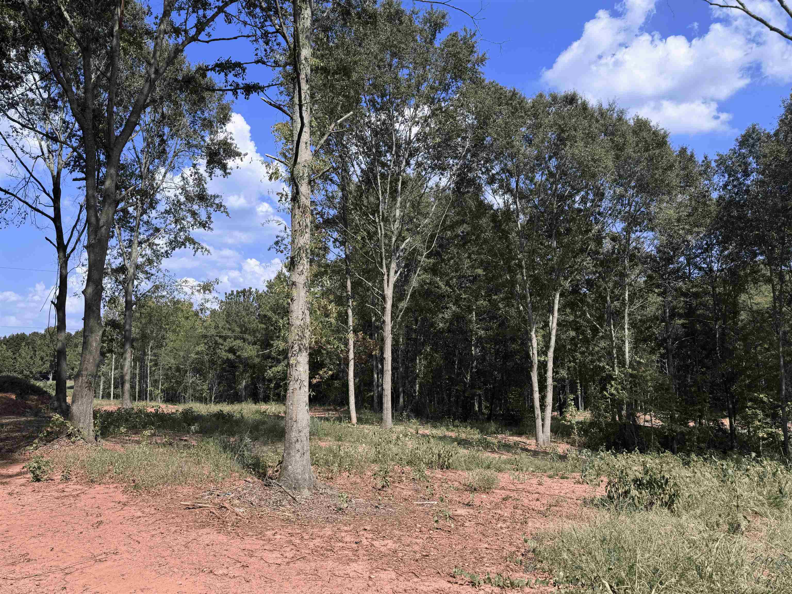 341395 Property Photo 1