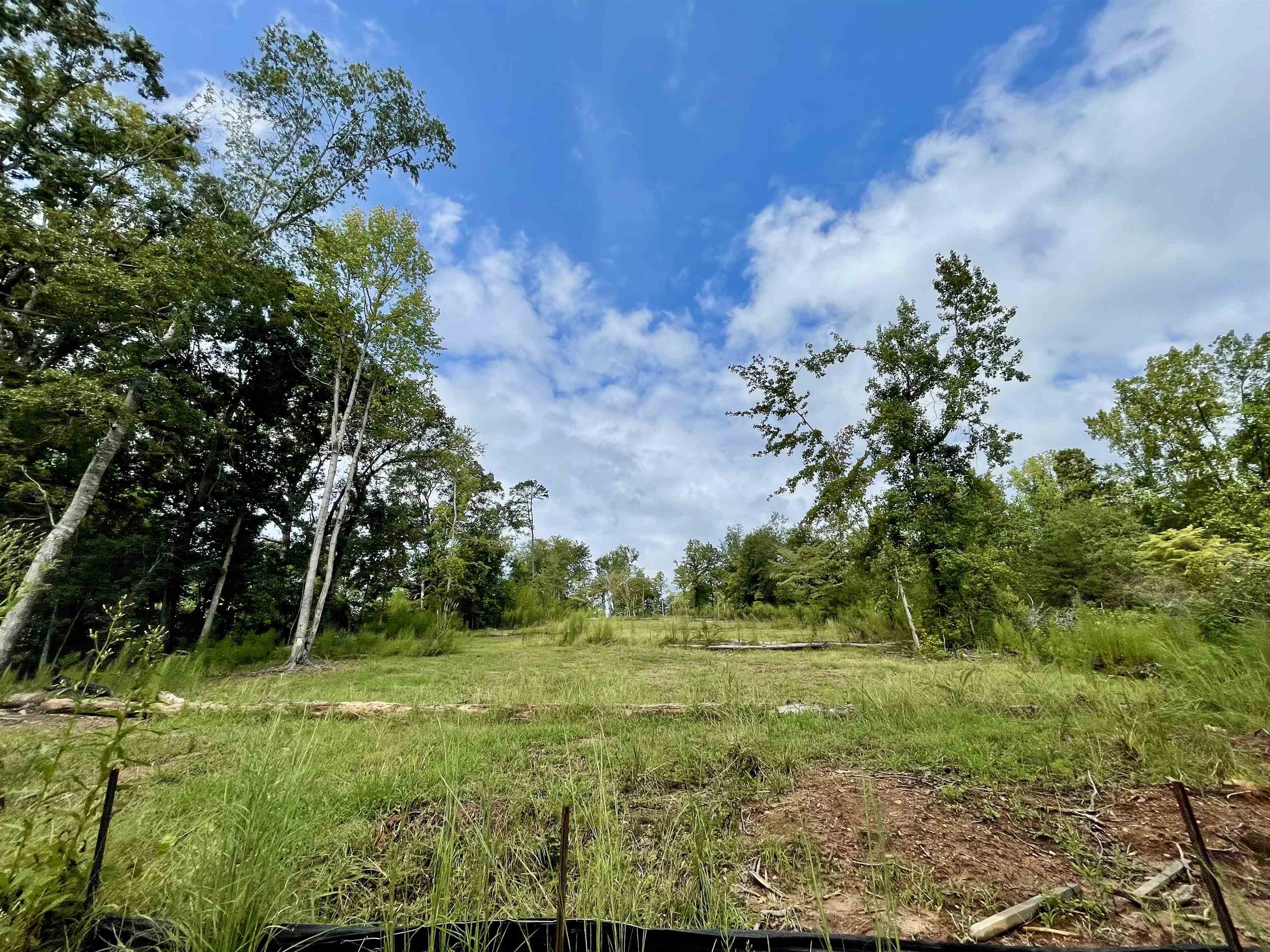 341399 Property Photo 13