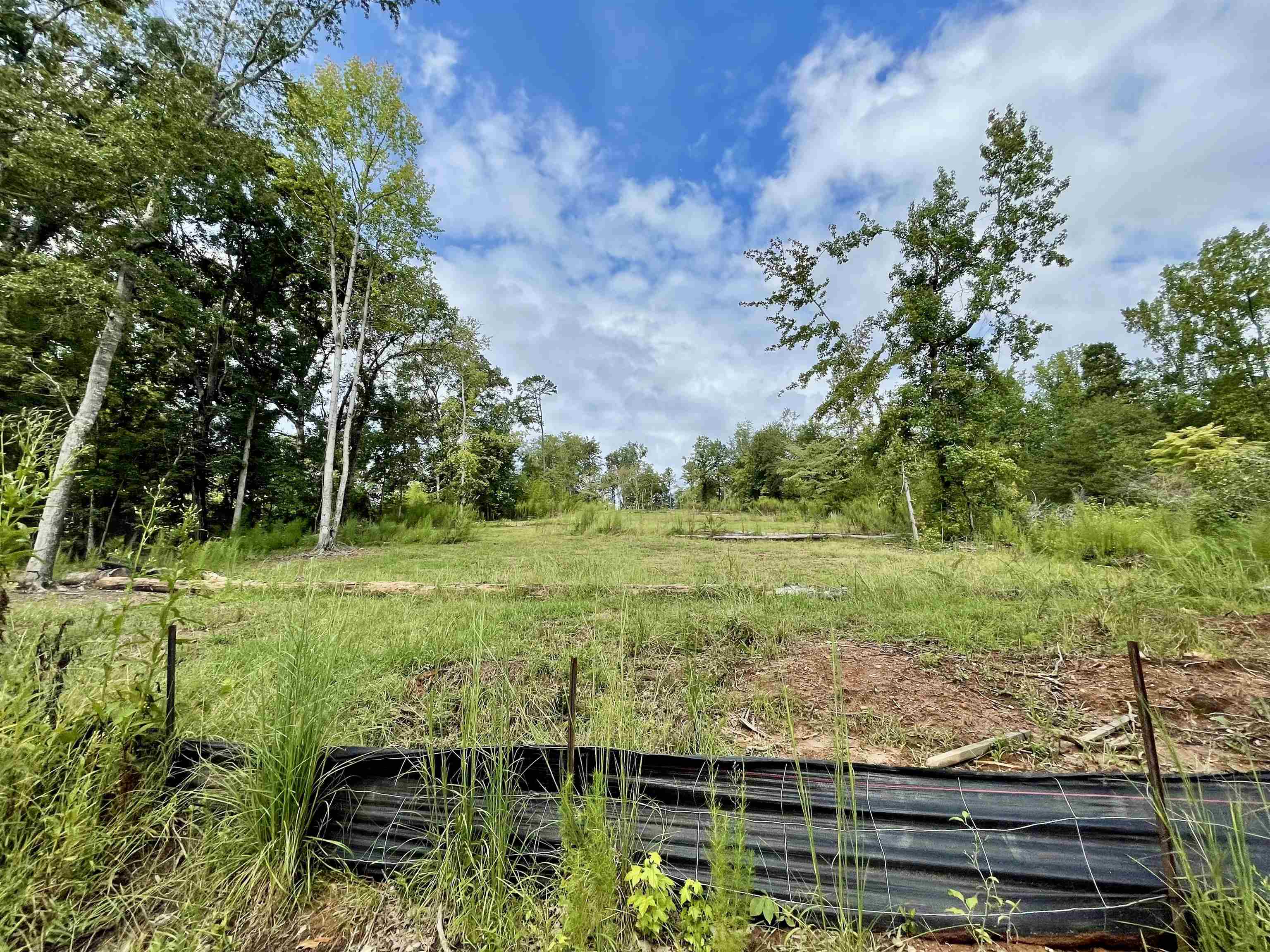 341399 Property Photo 14