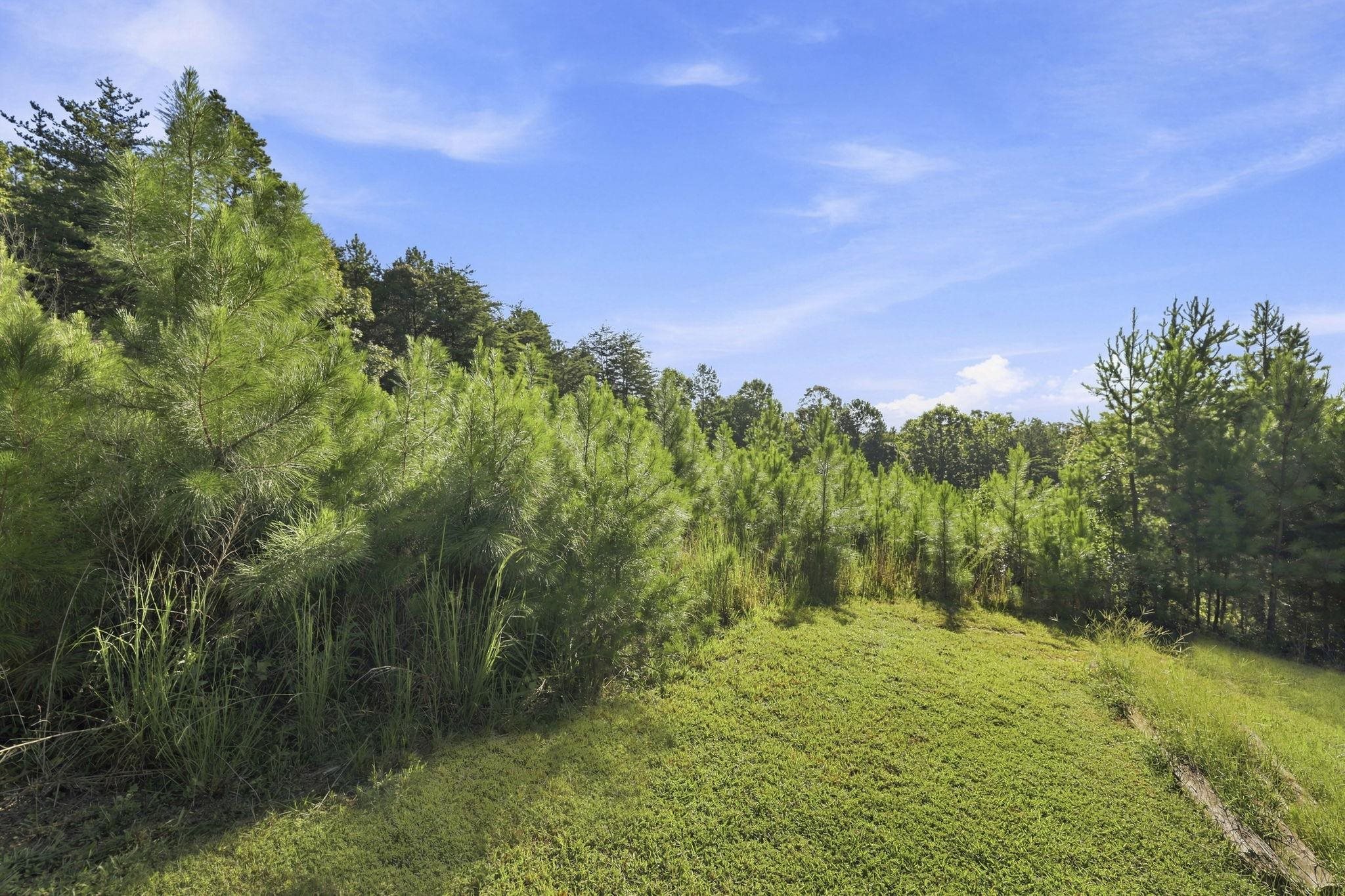 341406 Property Photo 2