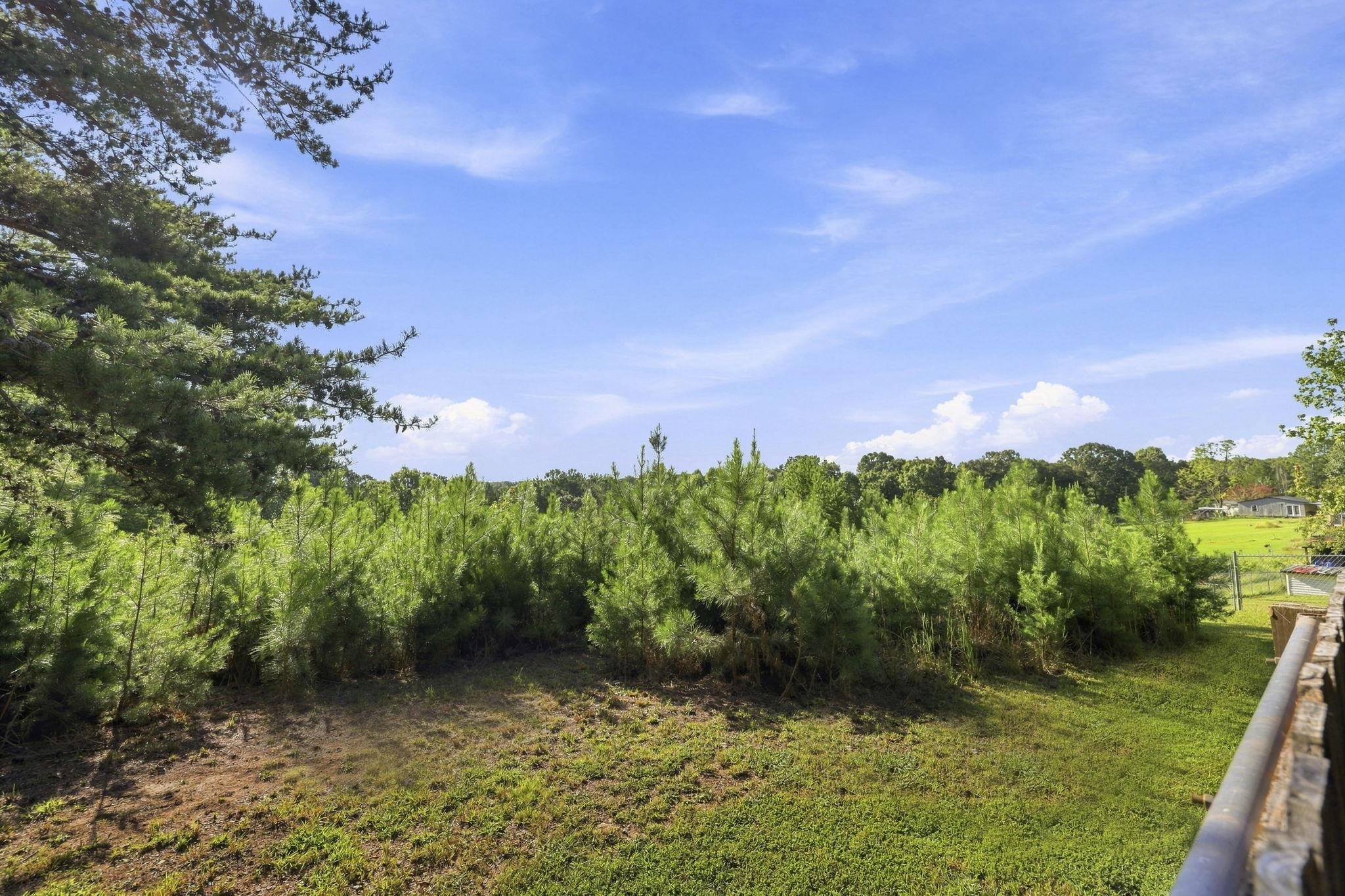 341406 Property Photo 4
