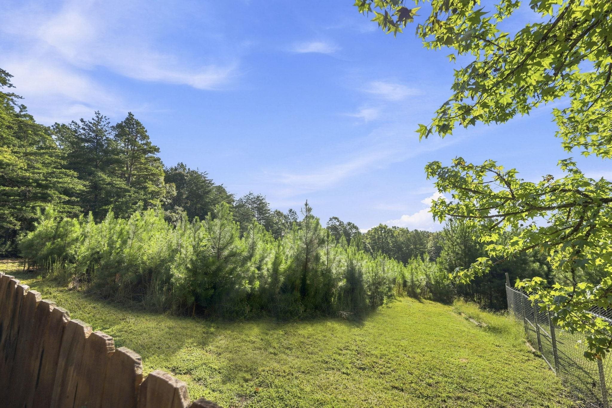 341406 Property Photo 5