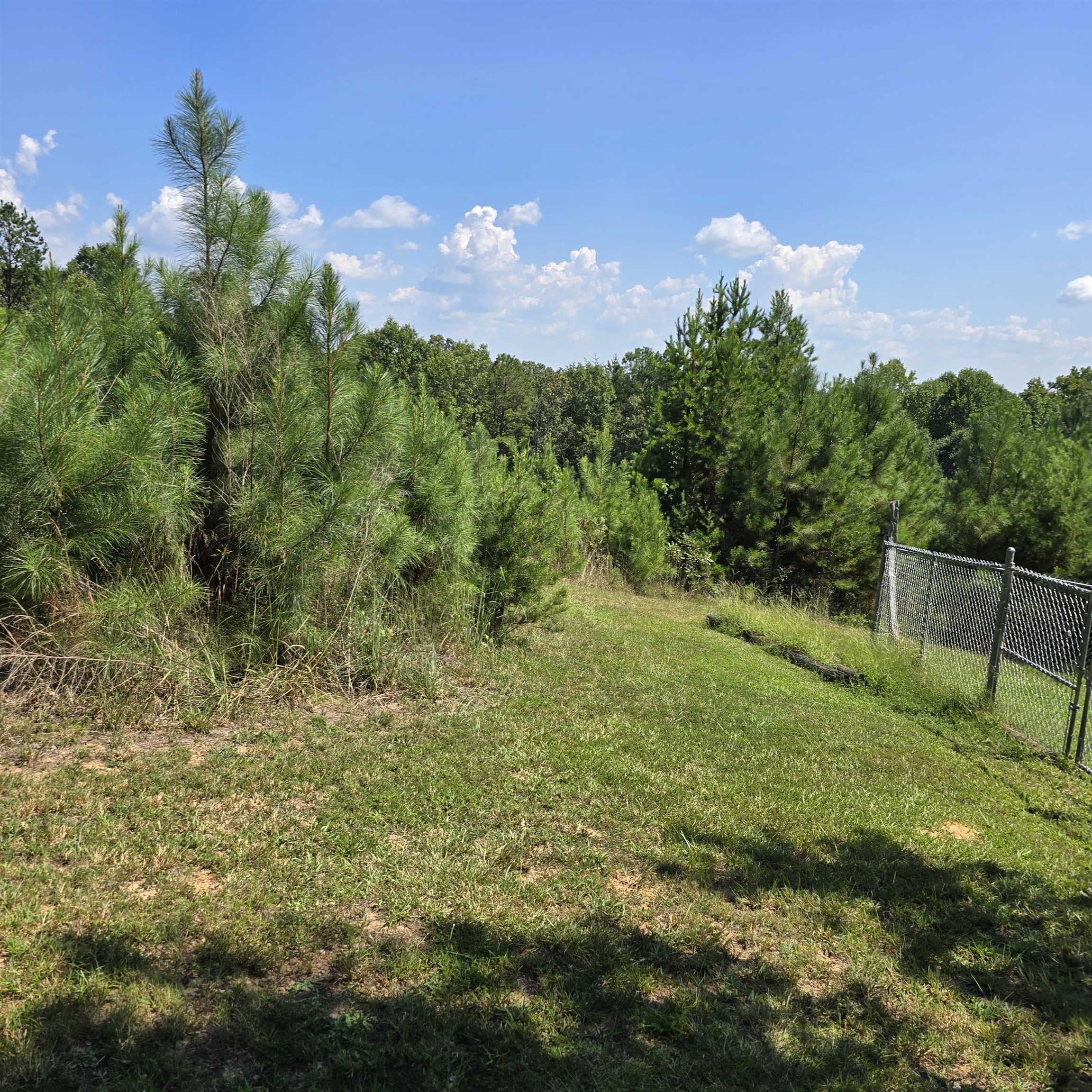 341406 Property Photo 7