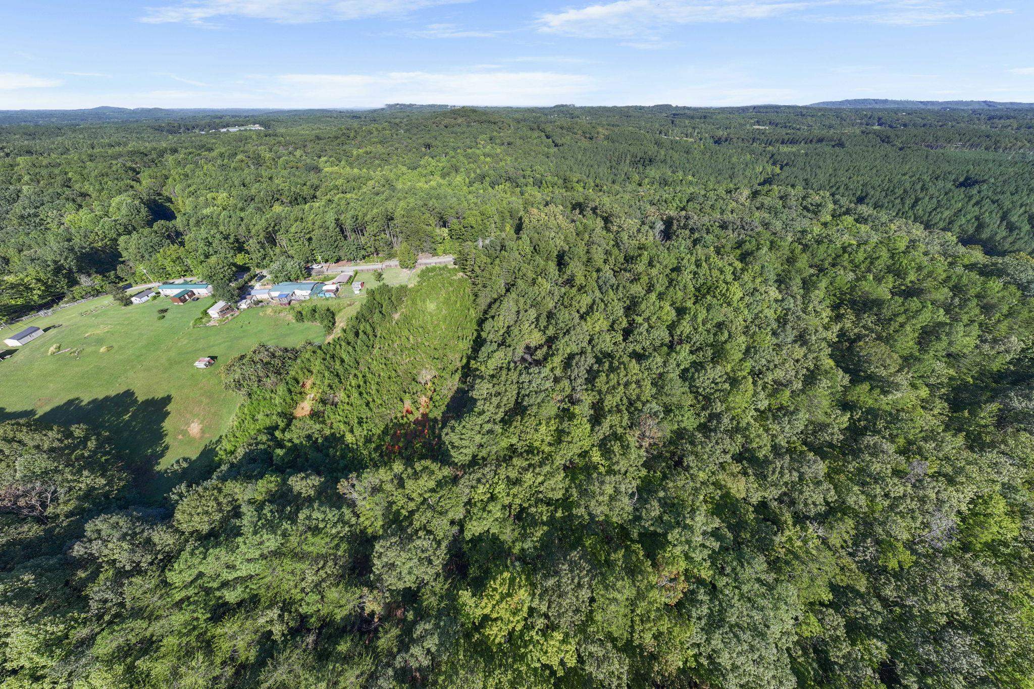 341406 Property Photo 9