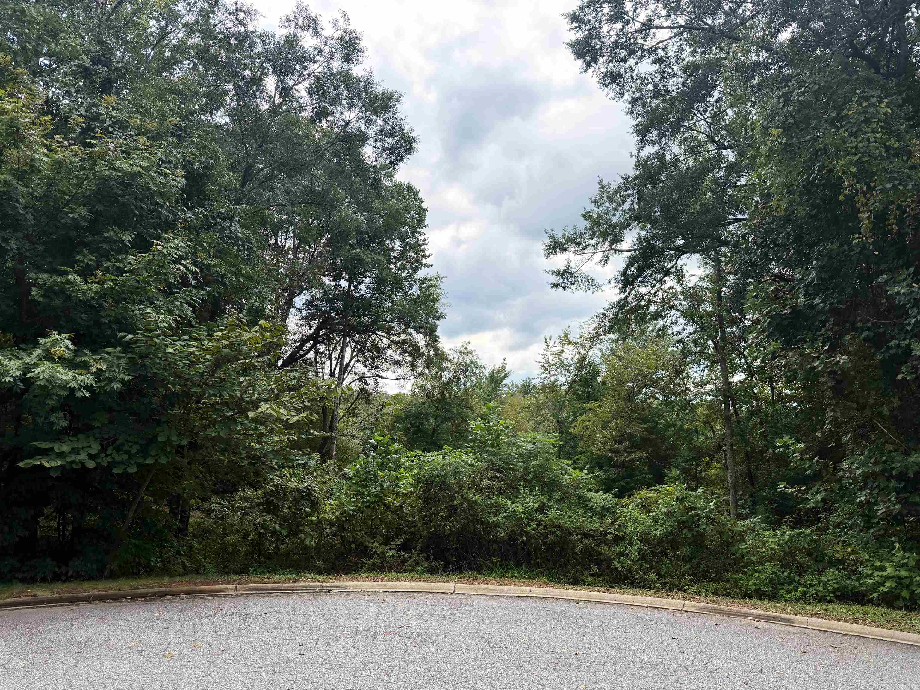 341475 Property Photo 2