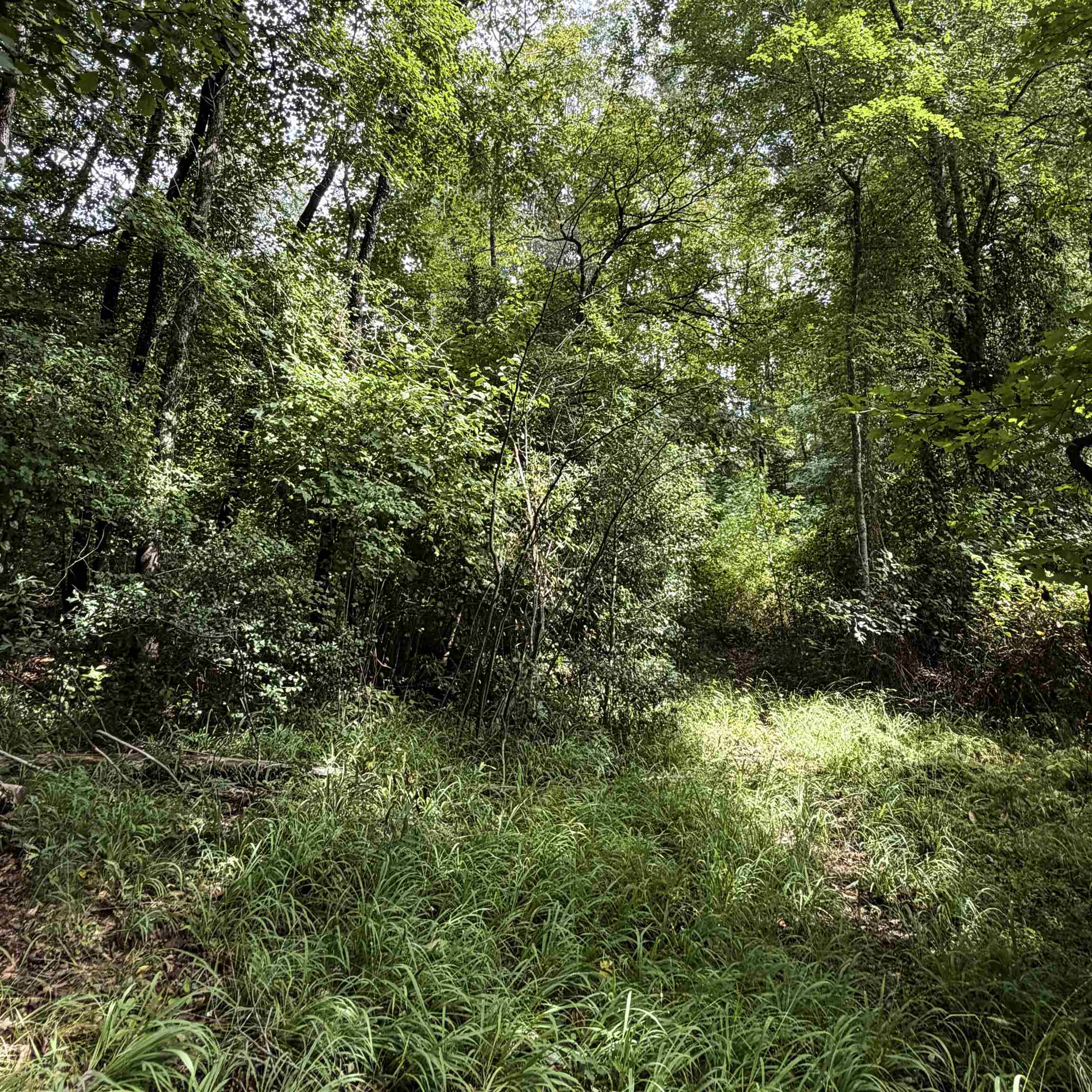341475 Property Photo 8