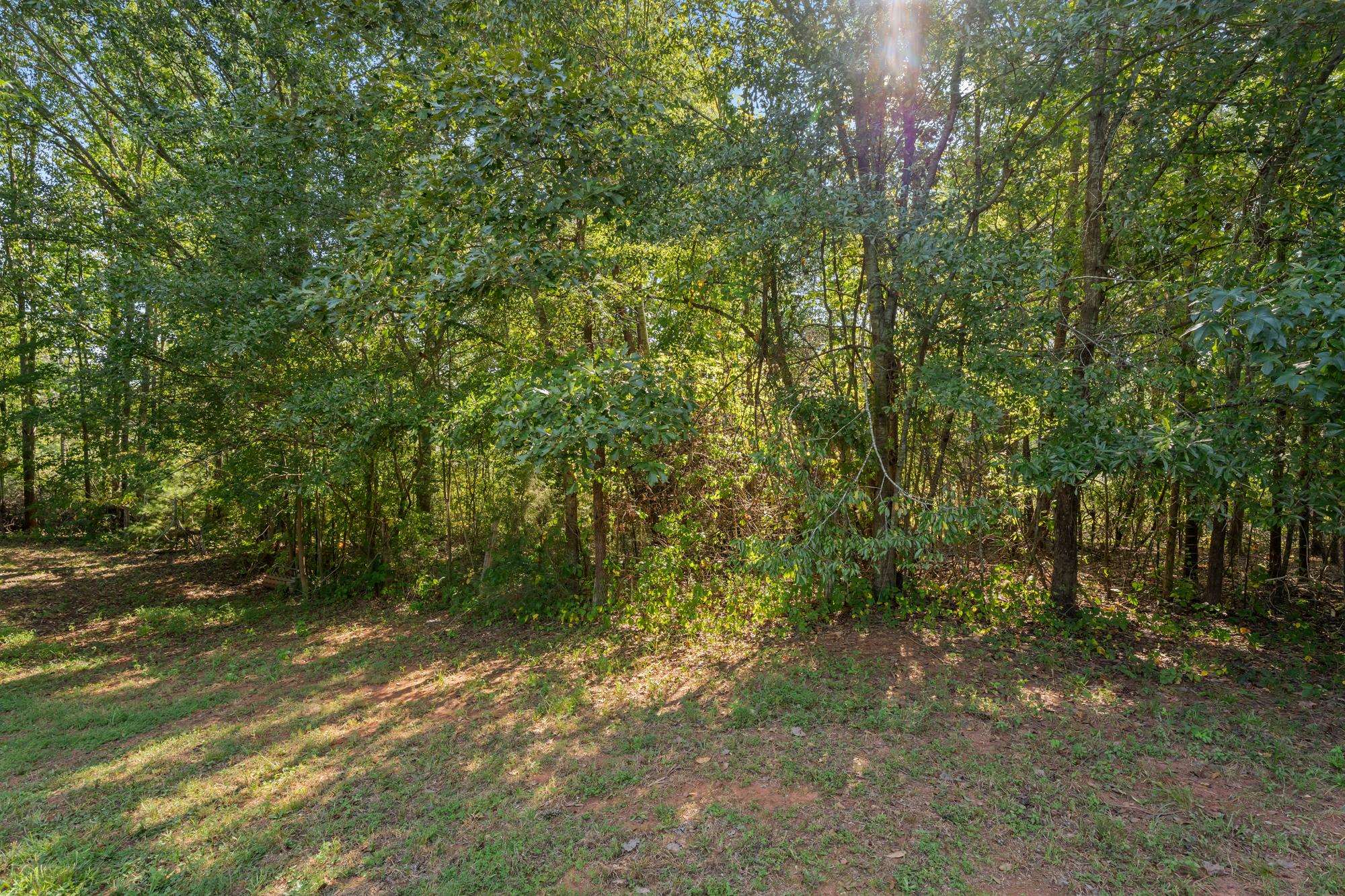 430 Old Burnett Road Property Photo 12