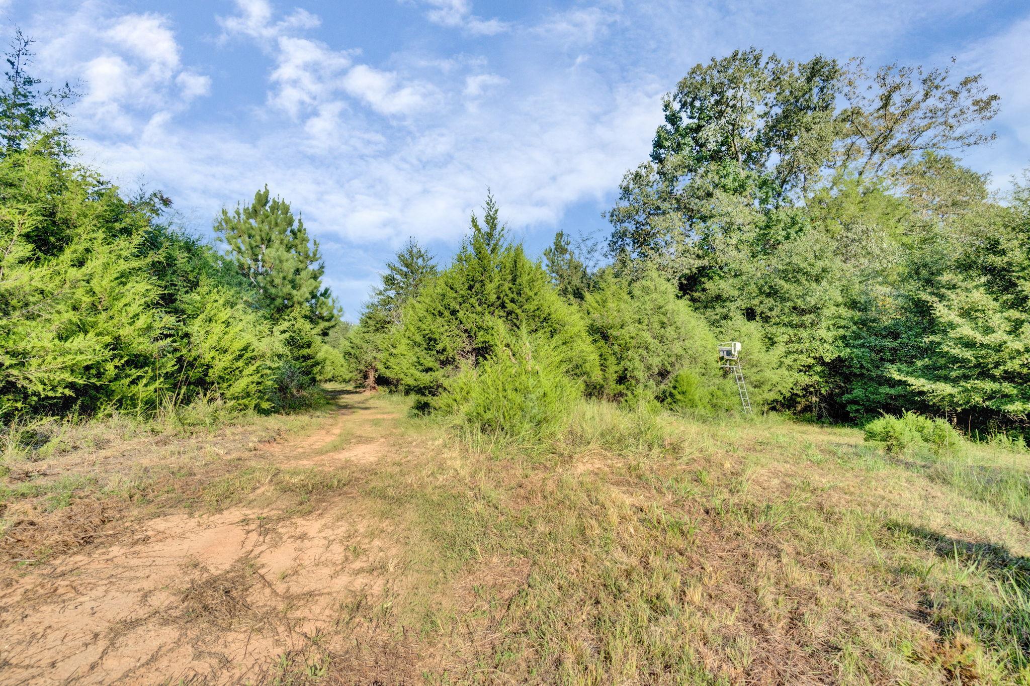 341500 Property Photo 20