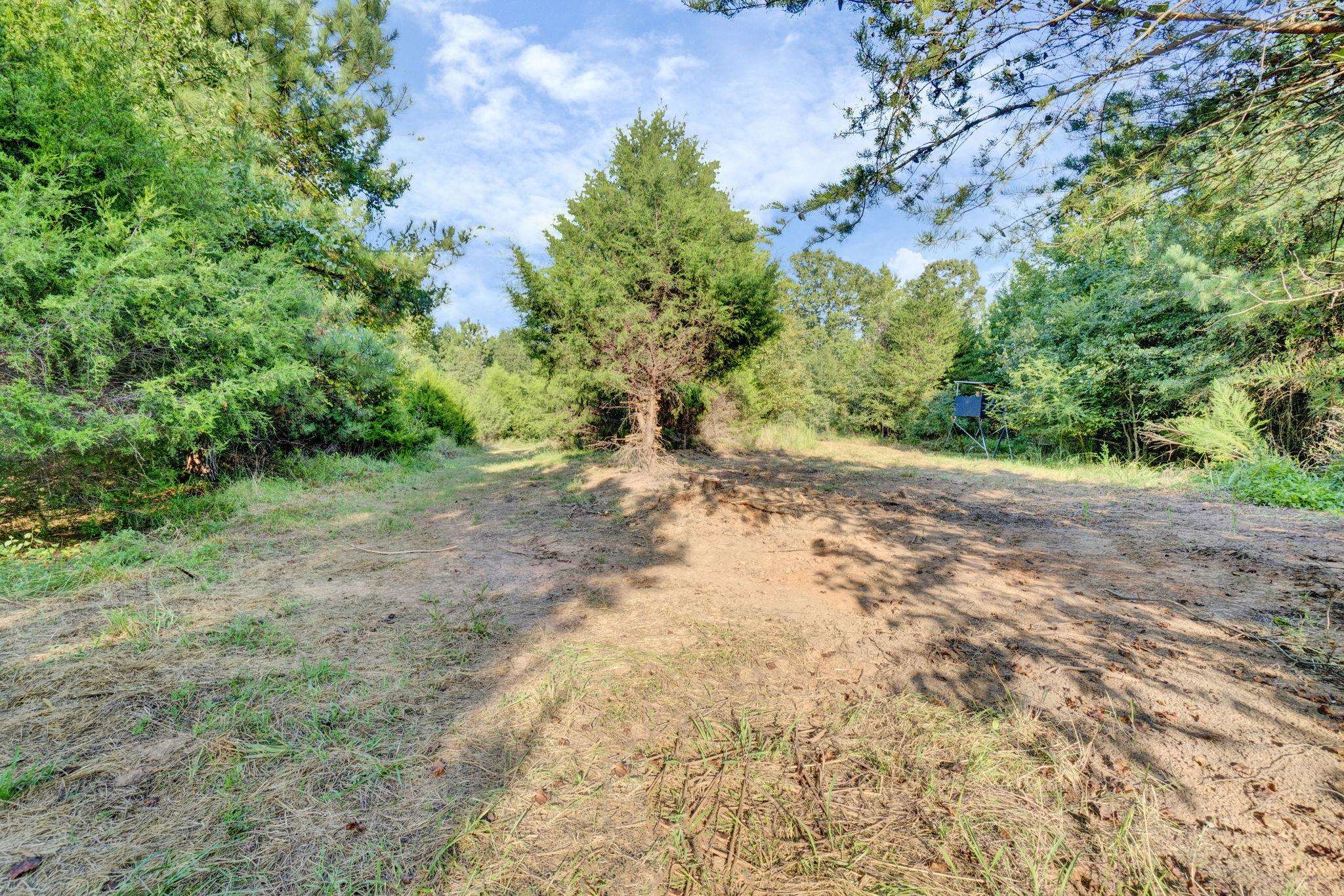 341500 Property Photo 21