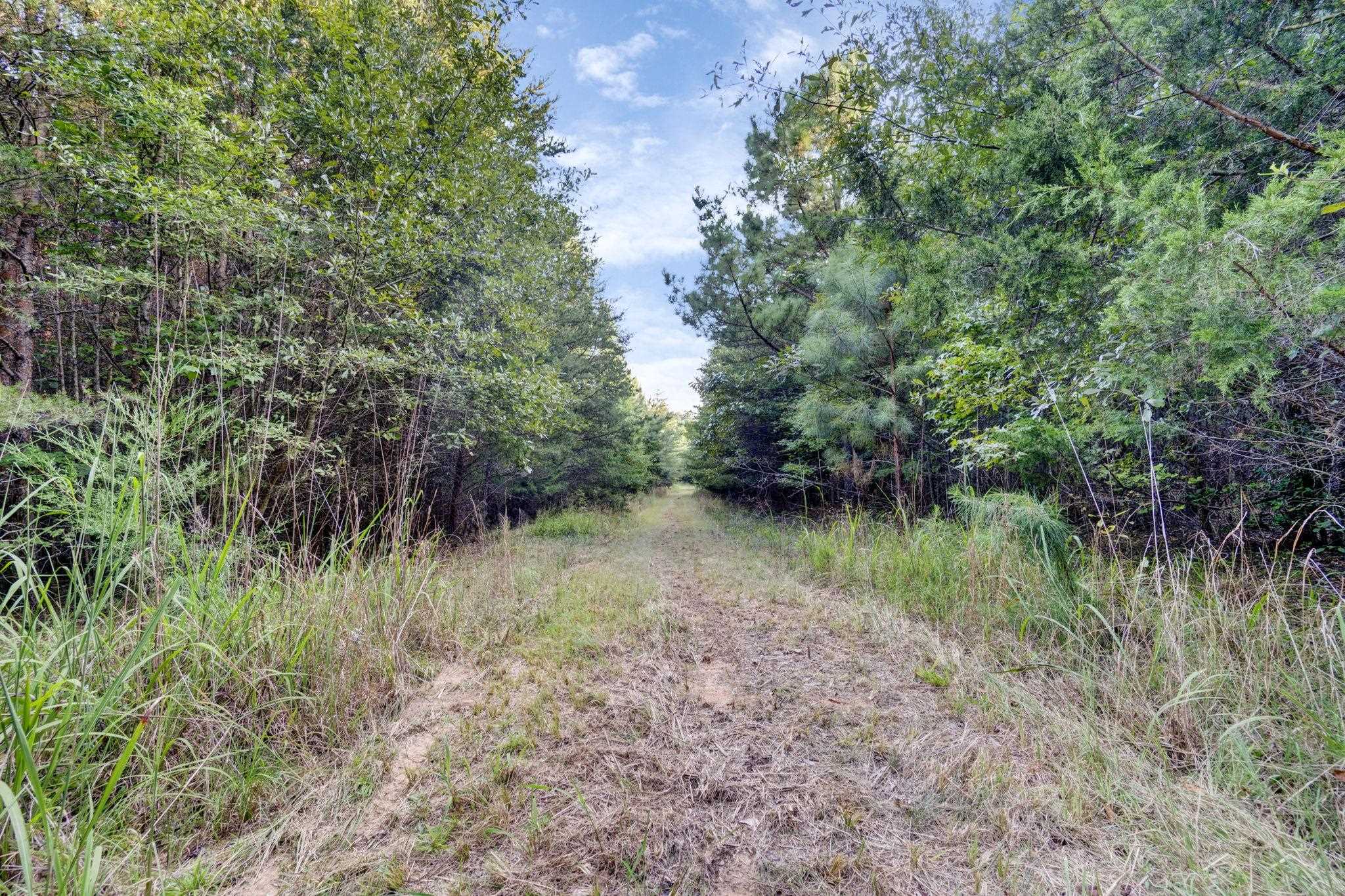 341500 Property Photo 25