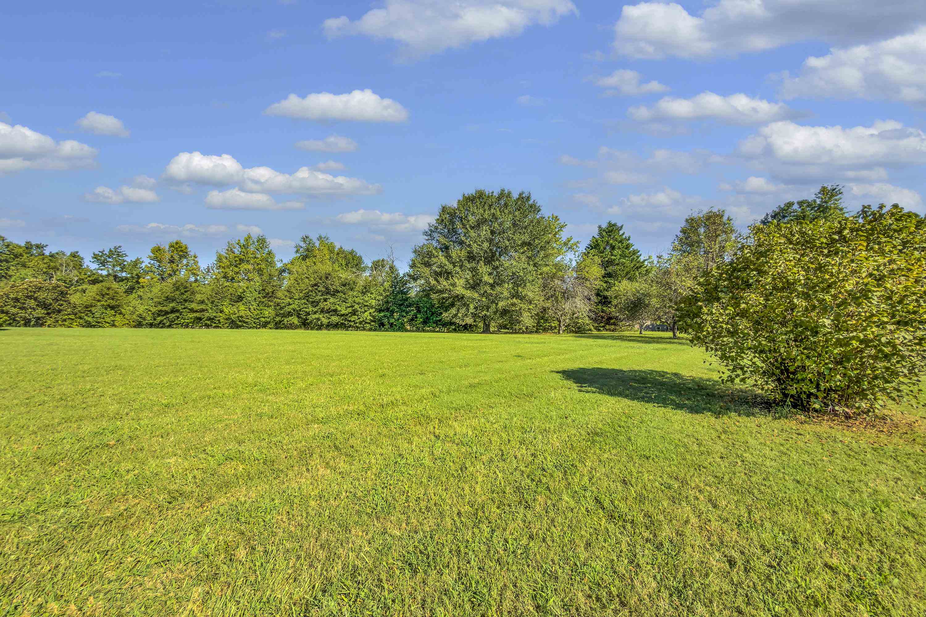 293 Berry Road Property Photo 31