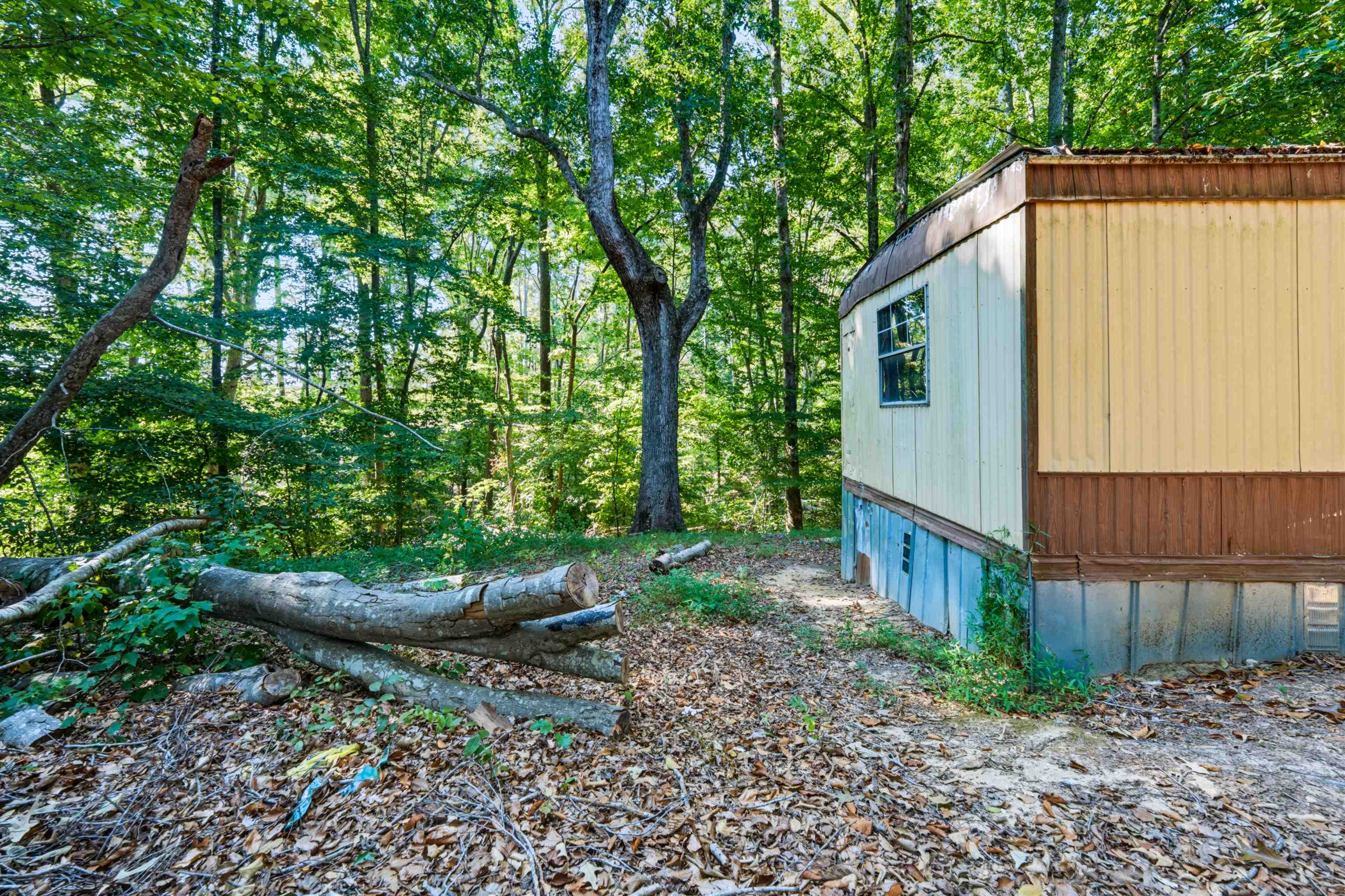 145 Pink Robinson Road Property Photo 19