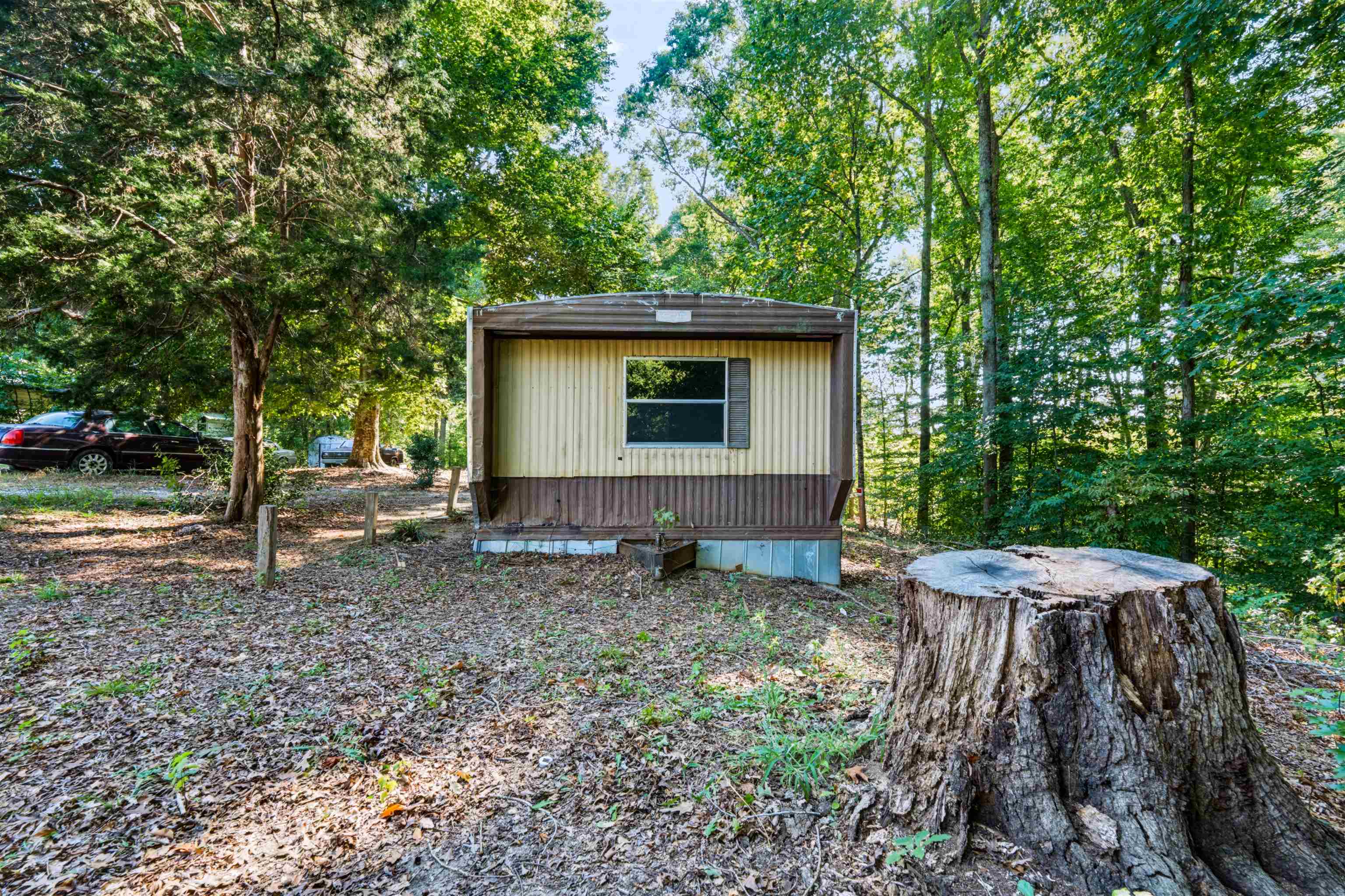 145 Pink Robinson Road Property Photo 21