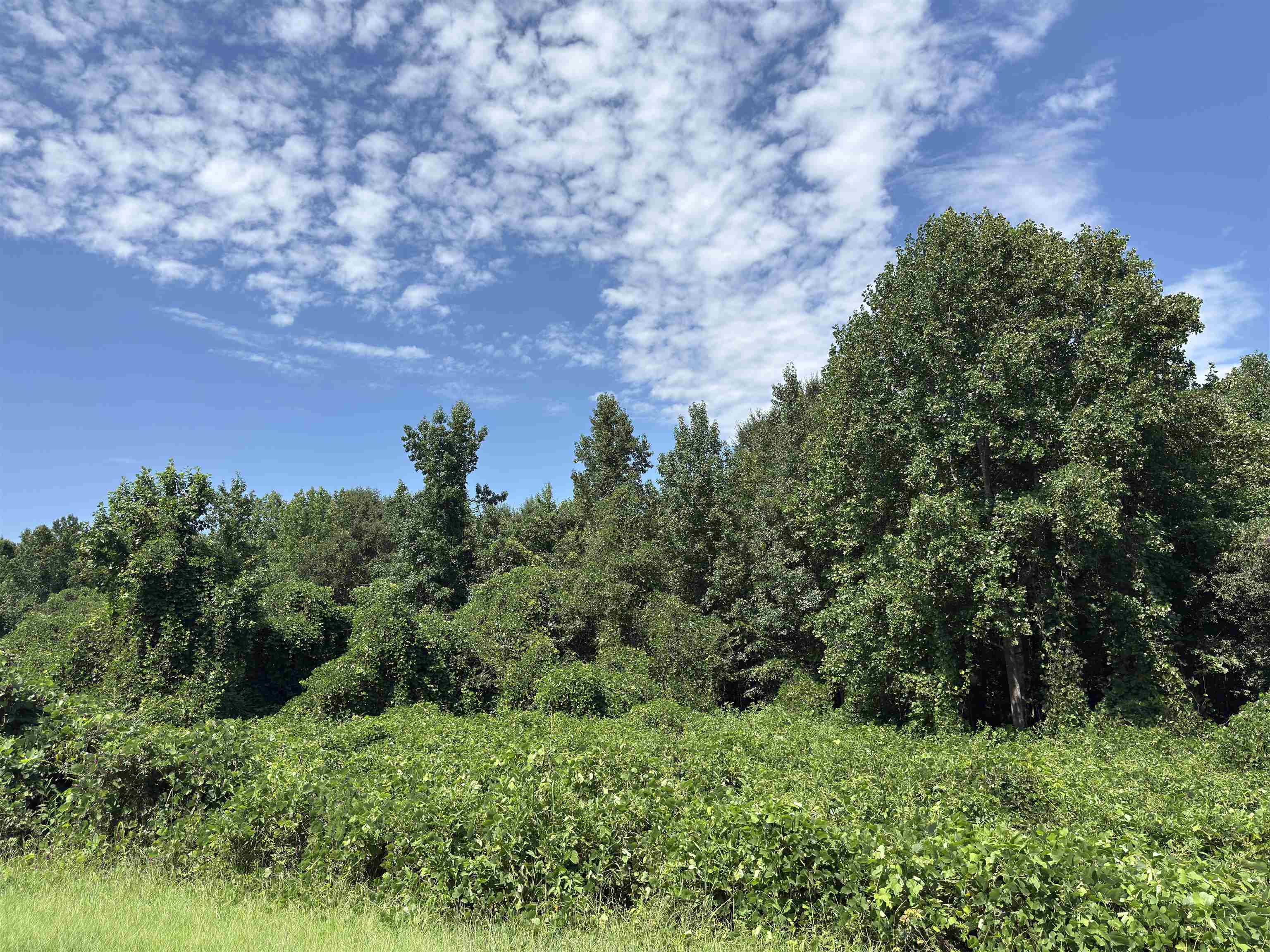 341566 Property Photo 2