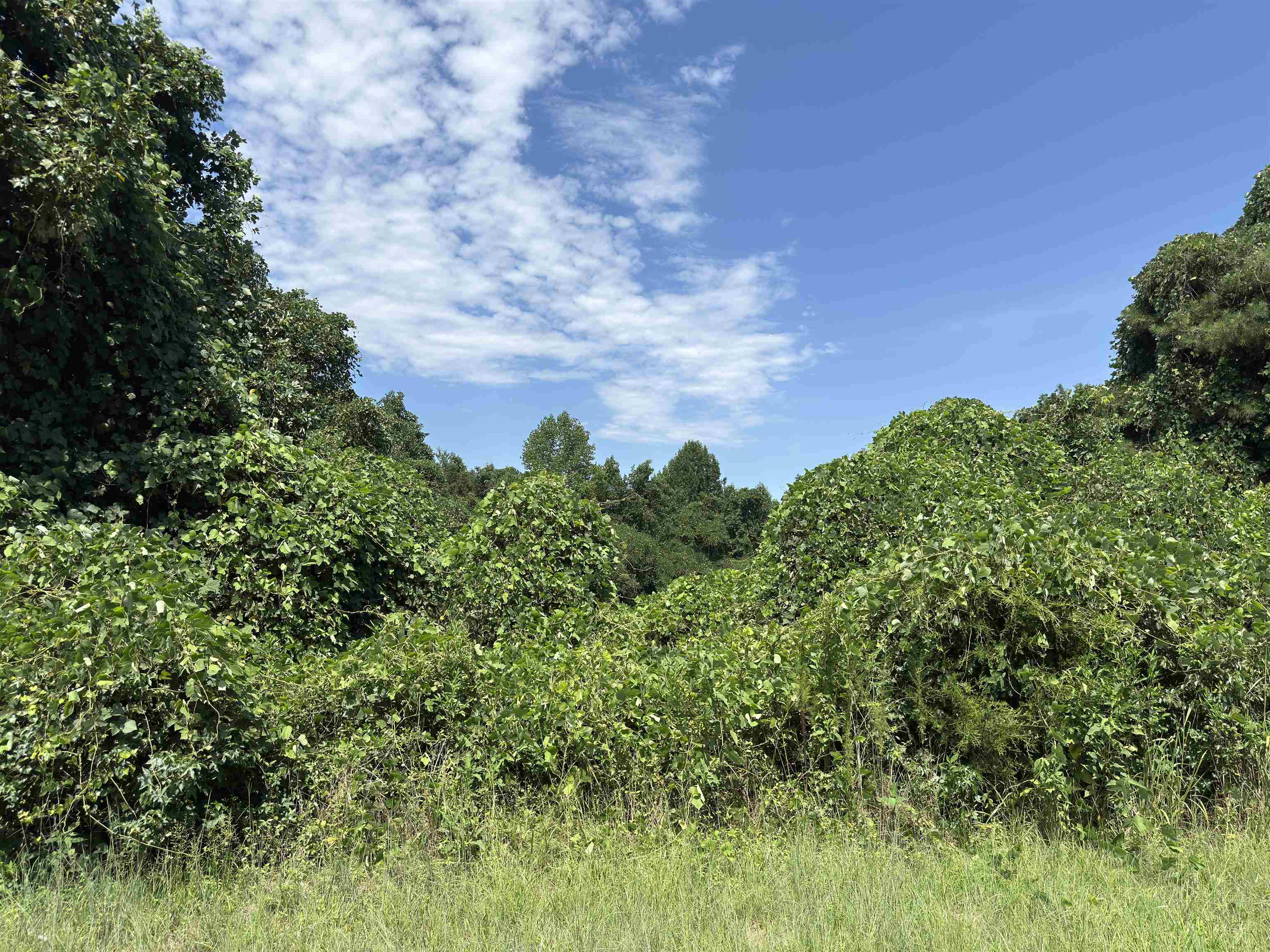 341566 Property Photo 3