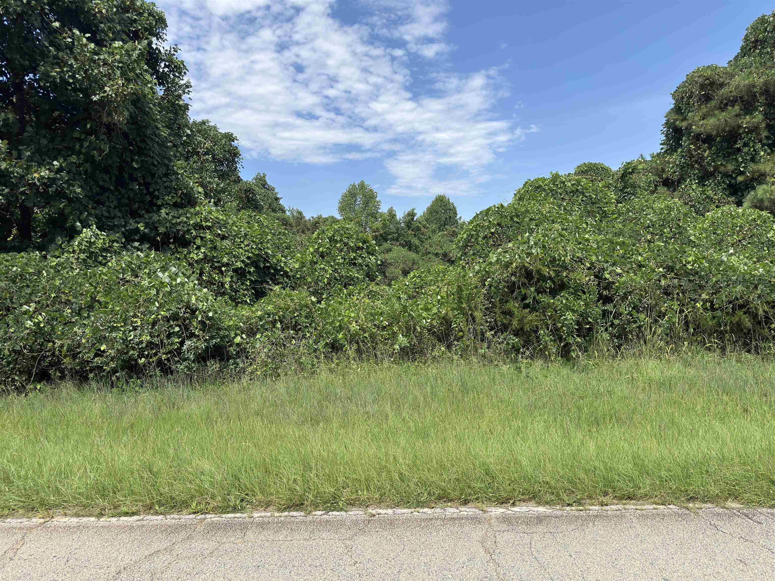 341566 Property Photo 4