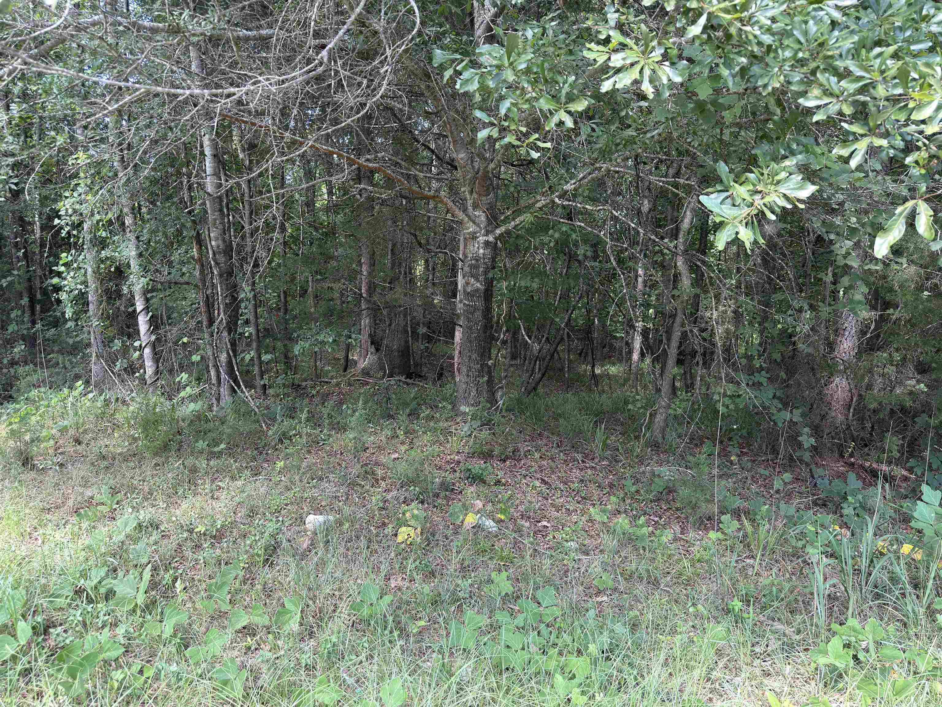 341566 Property Photo 5