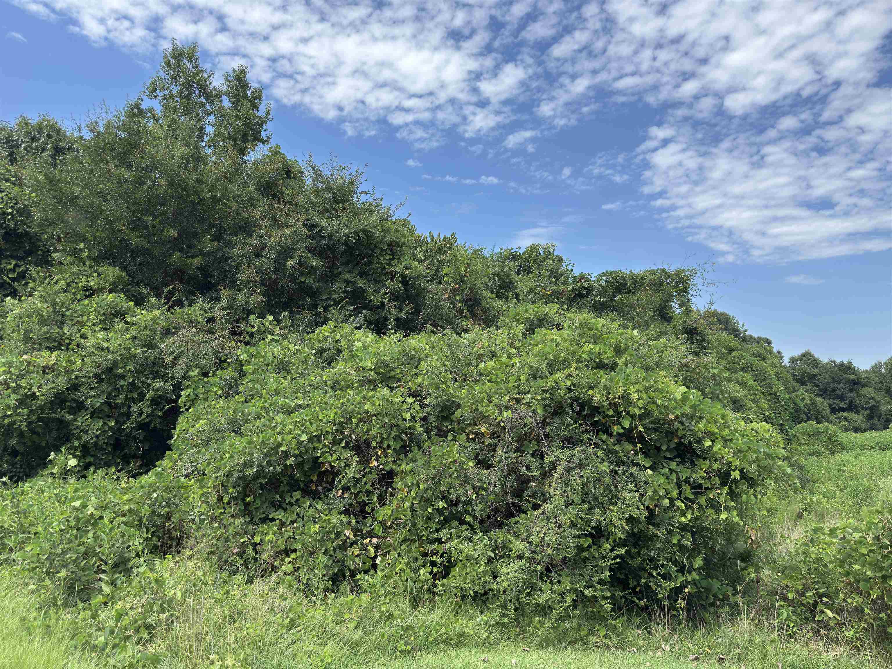 341566 Property Photo 6