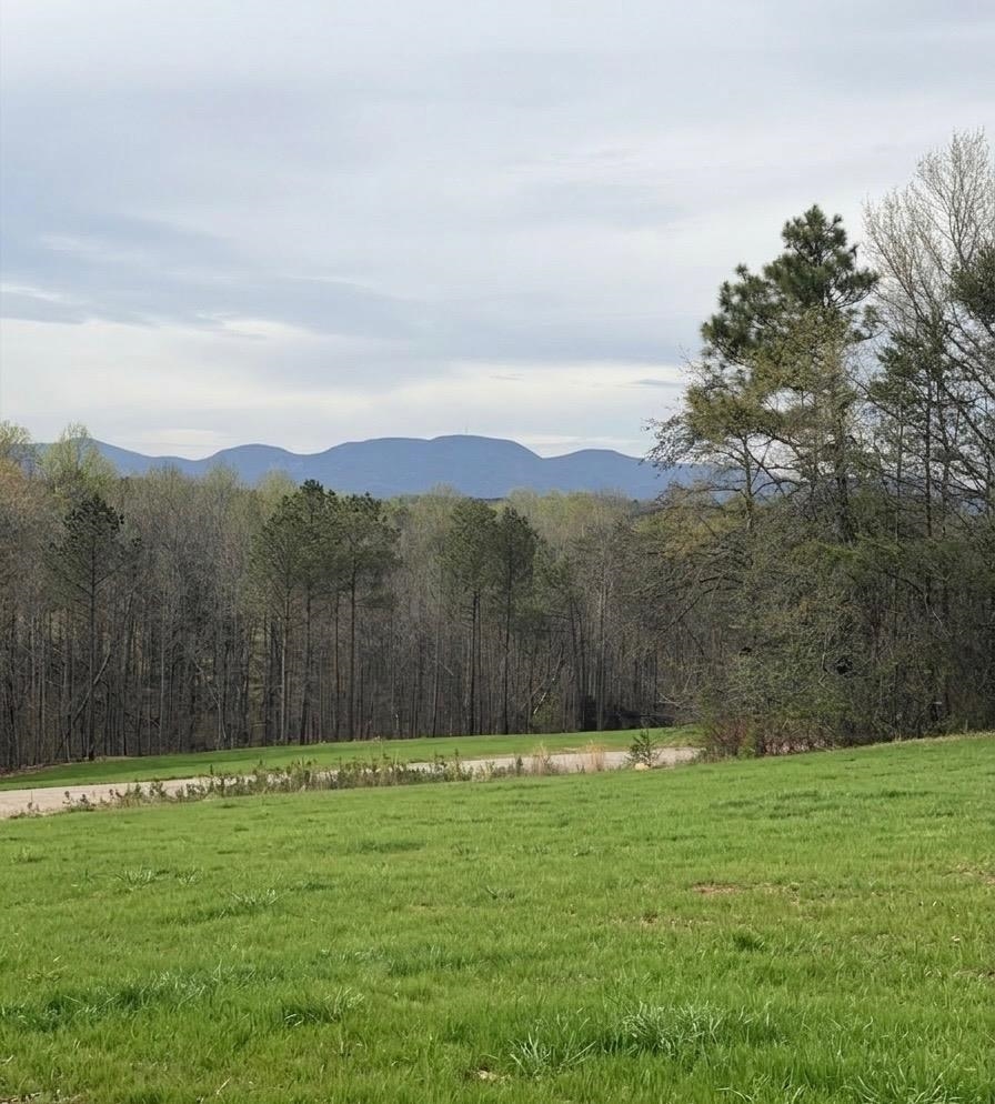 509 Skyline Drive Property Photo 11
