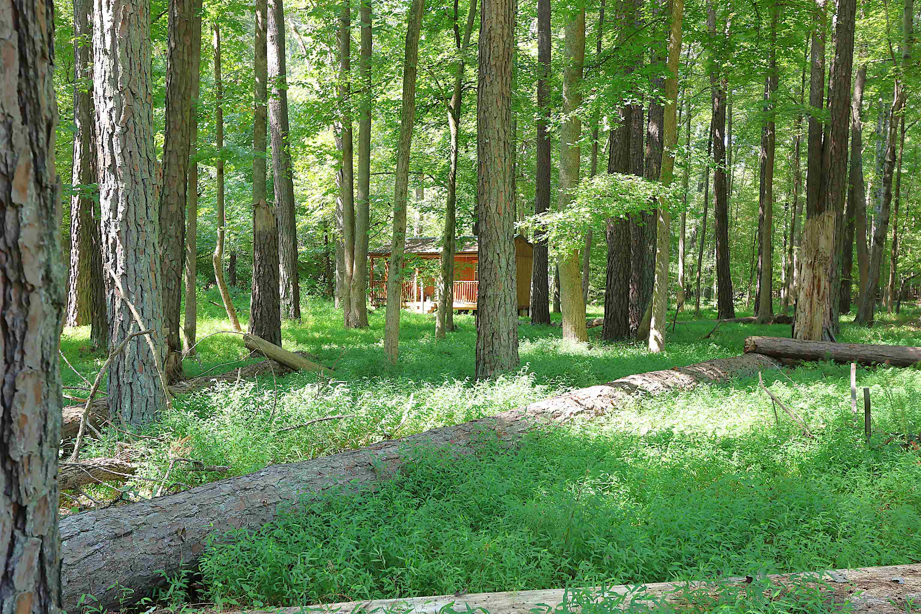 214 Sulpher Springs Road Property Photo 33