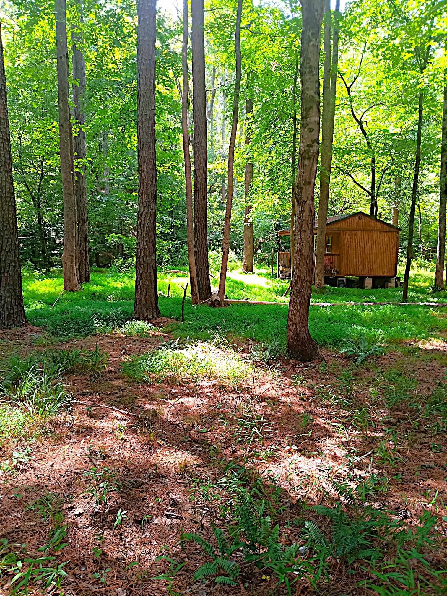 214 Sulpher Springs Road Property Photo 34