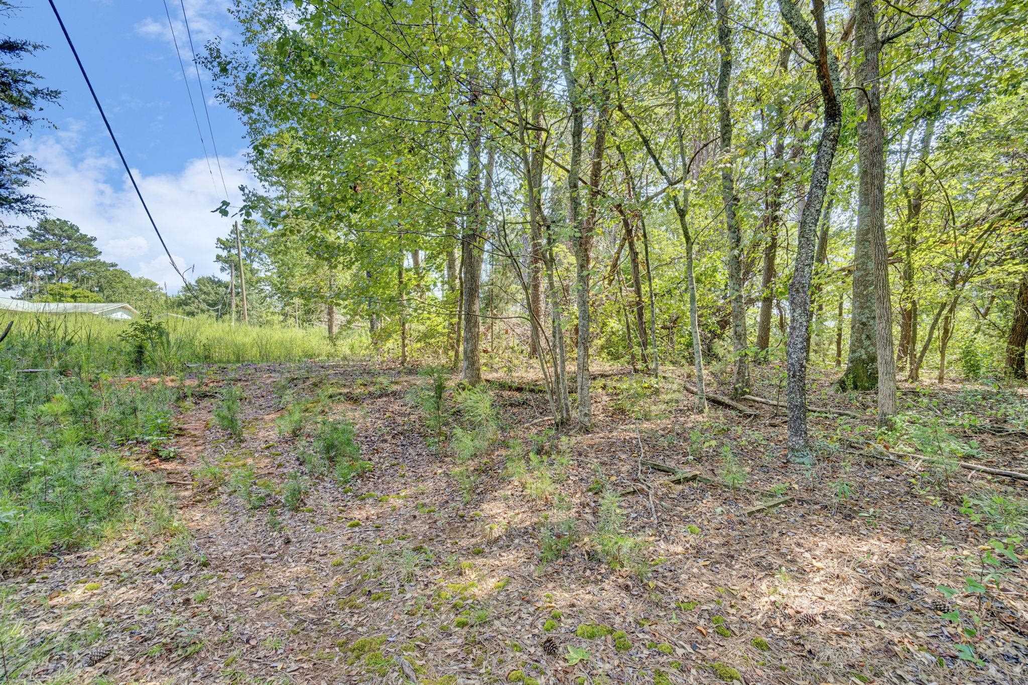 341635 Property Photo 32