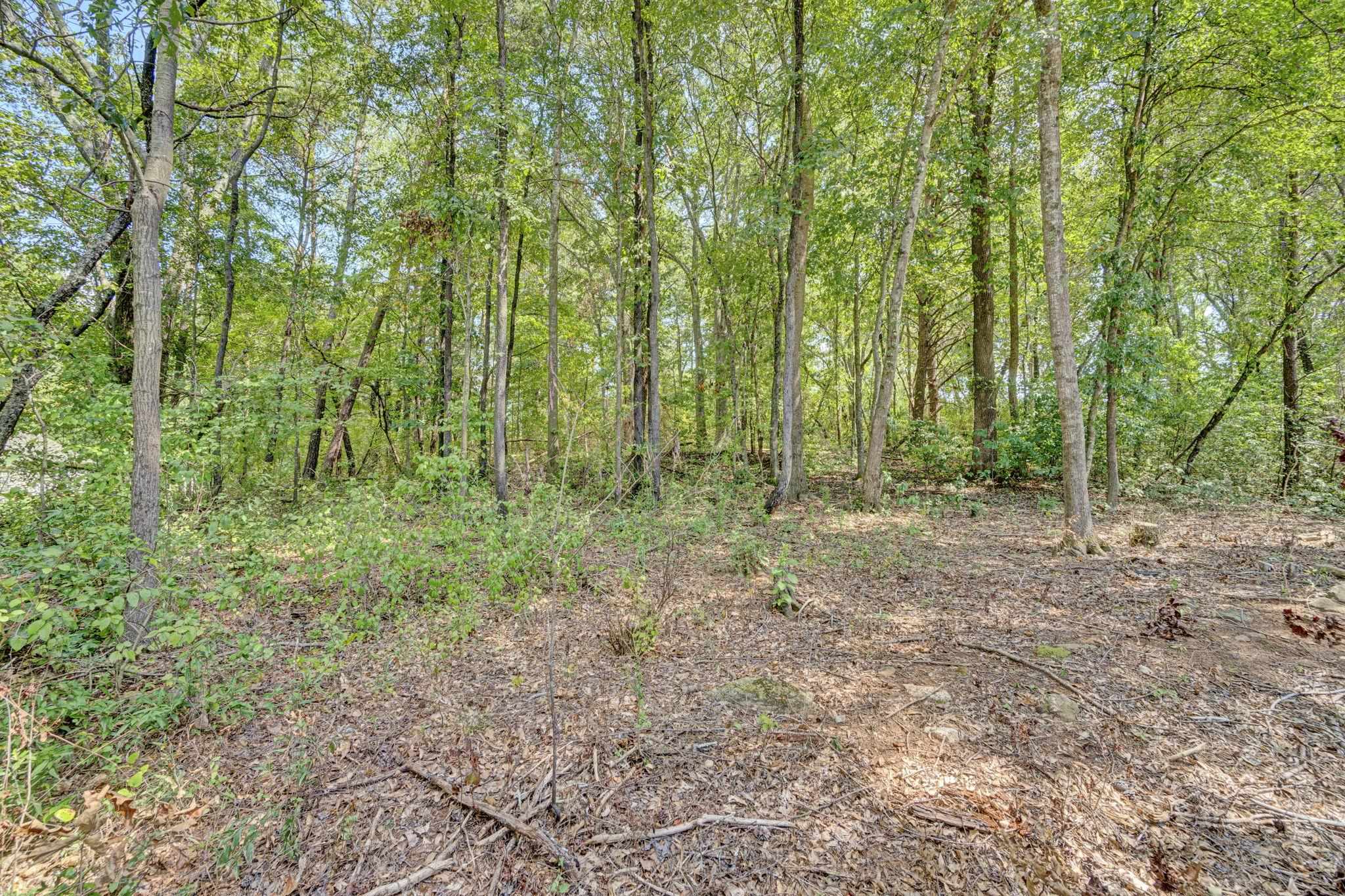 341646 Property Photo 31