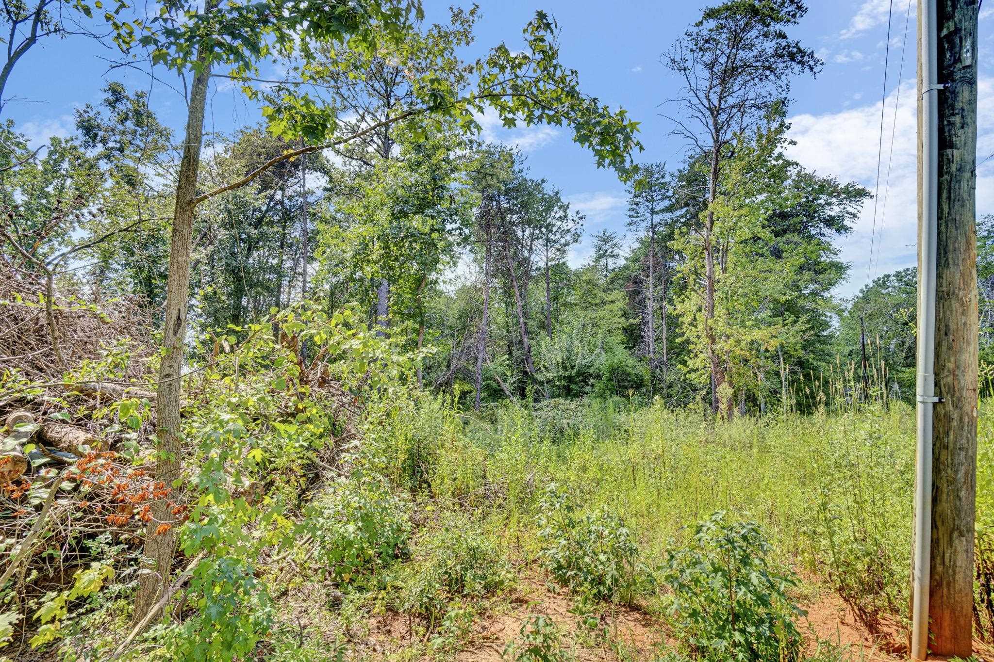 341646 Property Photo 33