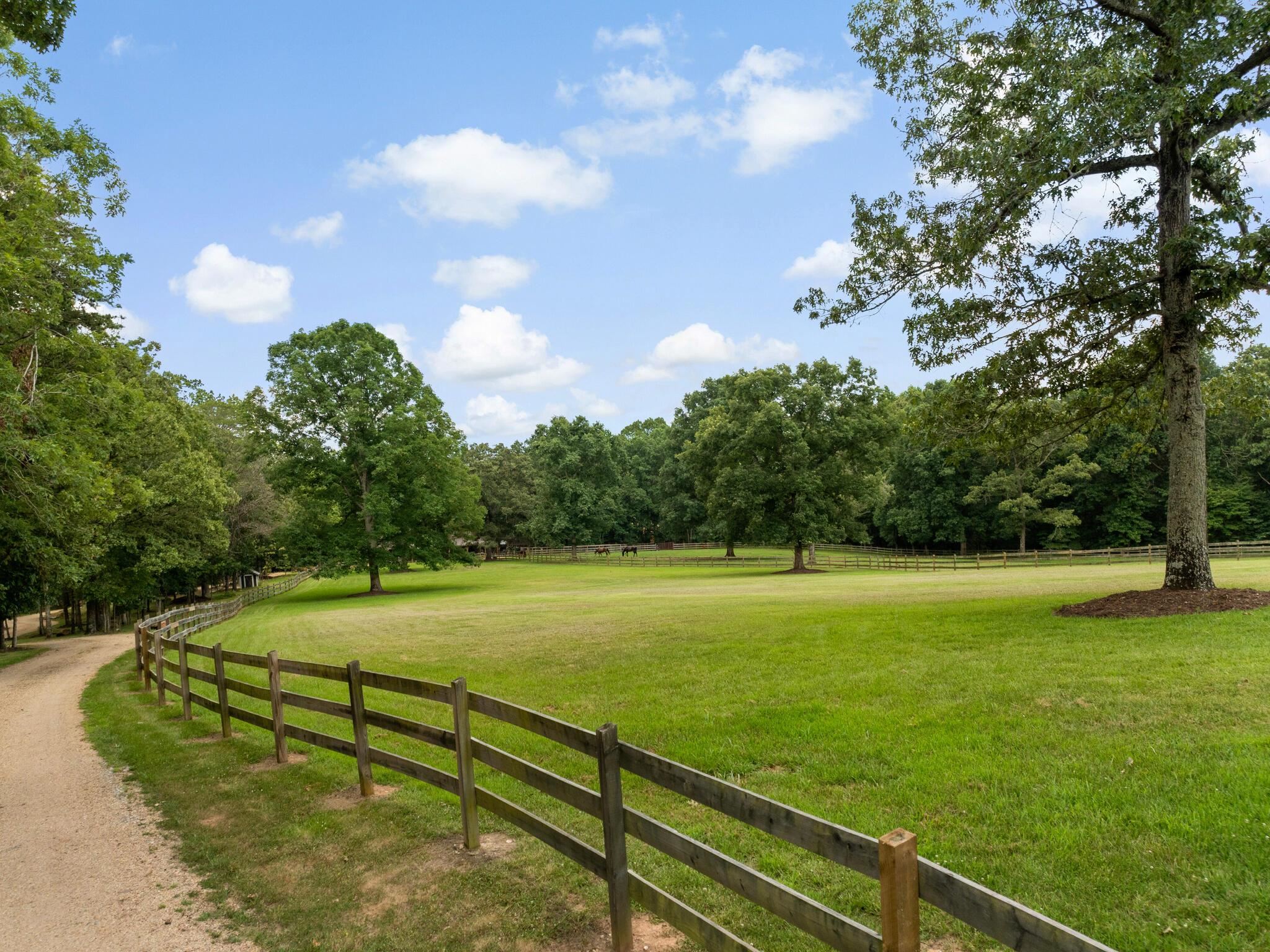 180 Kelseys Mill Road Property Photo 4