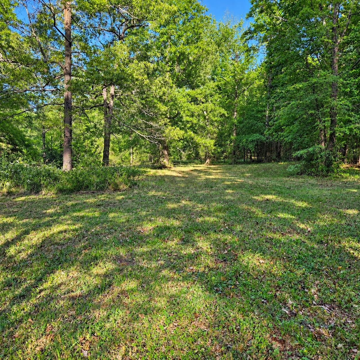 3628 Rainey Lane Property Photo 45