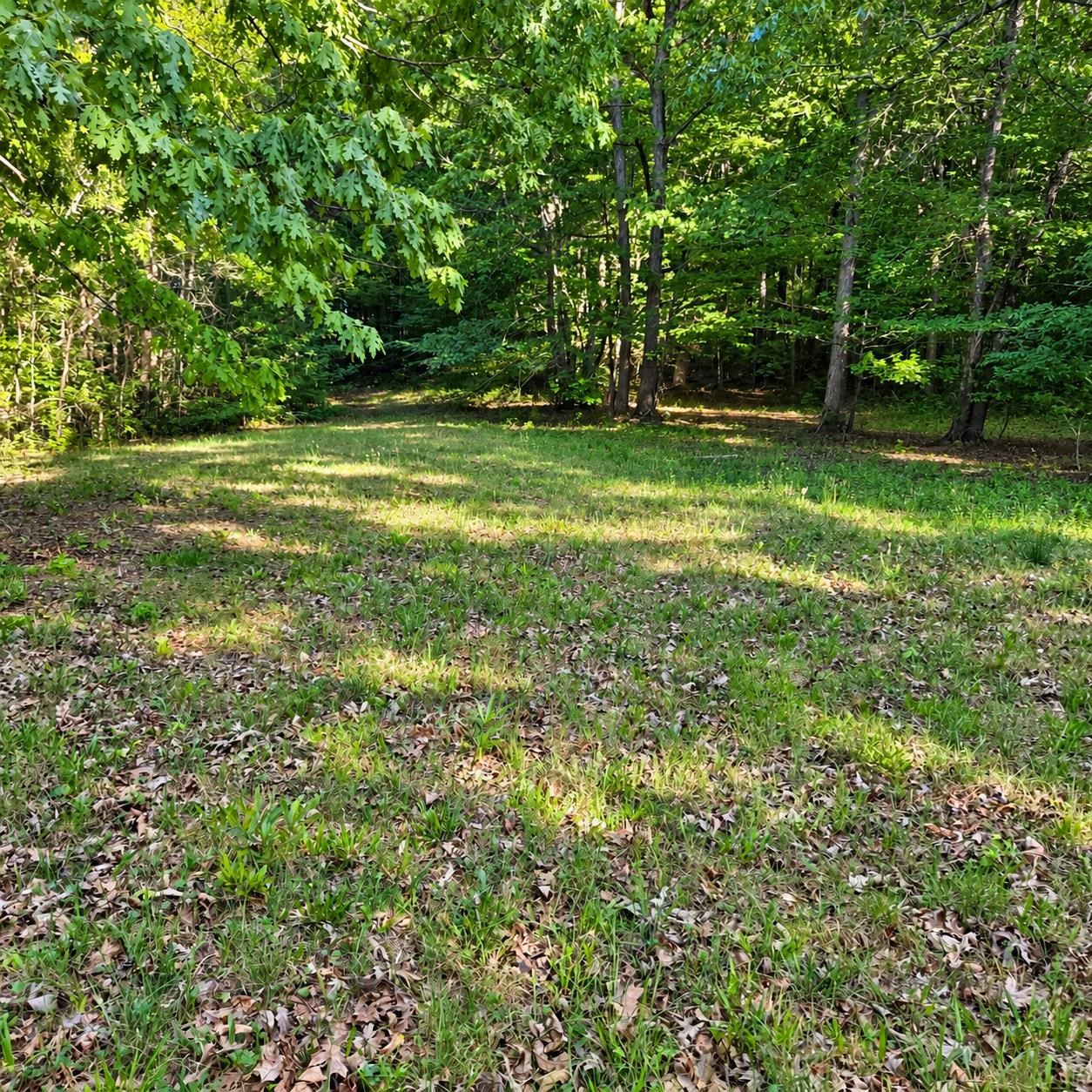 3628 Rainey Lane Property Photo 46