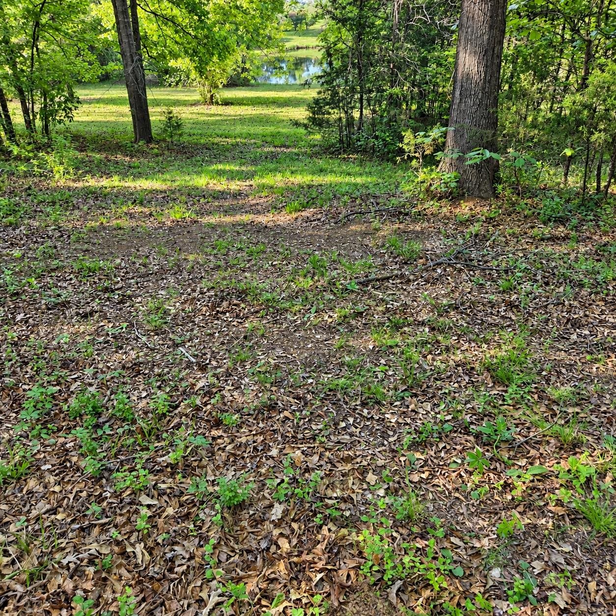 3628 Rainey Lane Property Photo 47