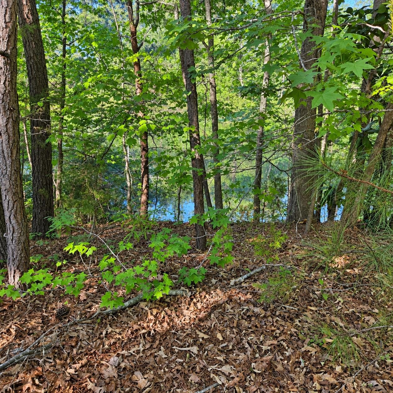 3628 Rainey Lane Property Photo 48