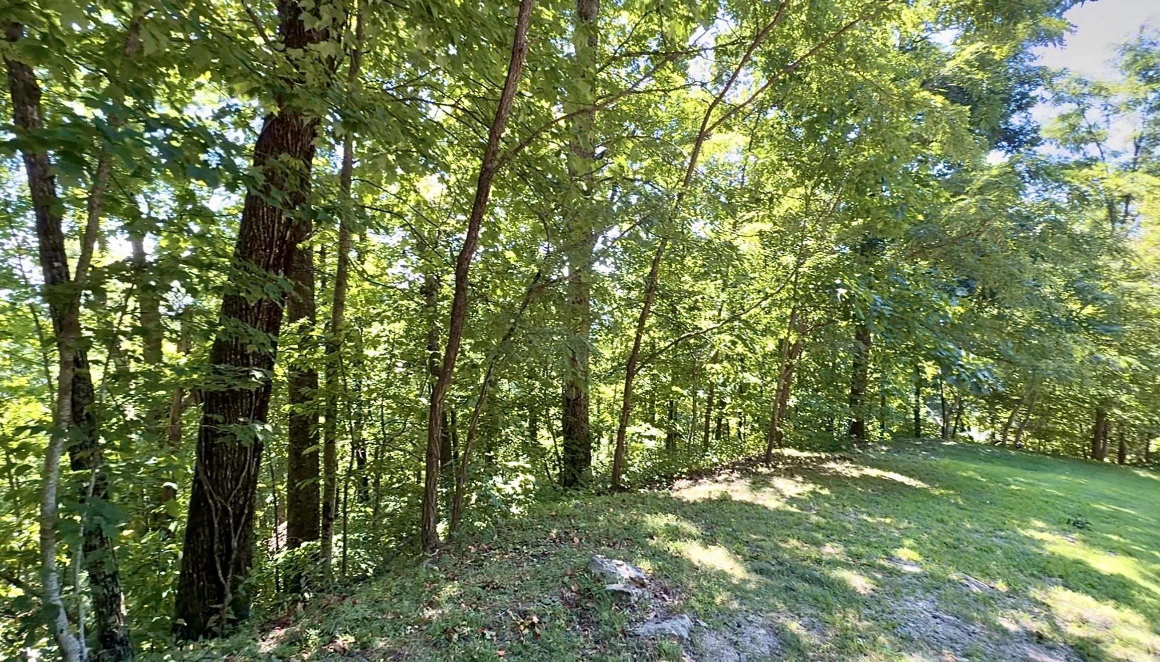 341714 Property Photo 3